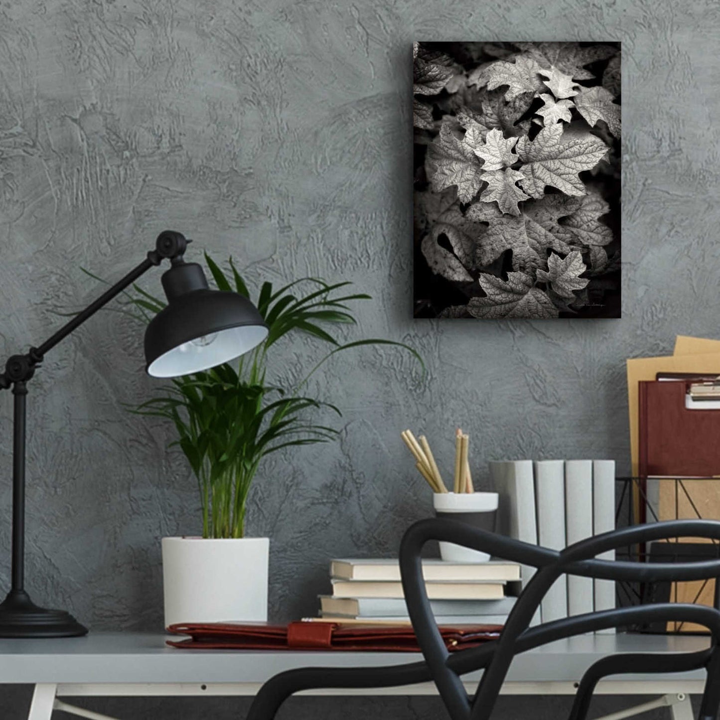 Epic Art 'Hydrangea Leaves in Black and White' by Debra Van Swearingen, Acrylic Glass Wall Art,12x16