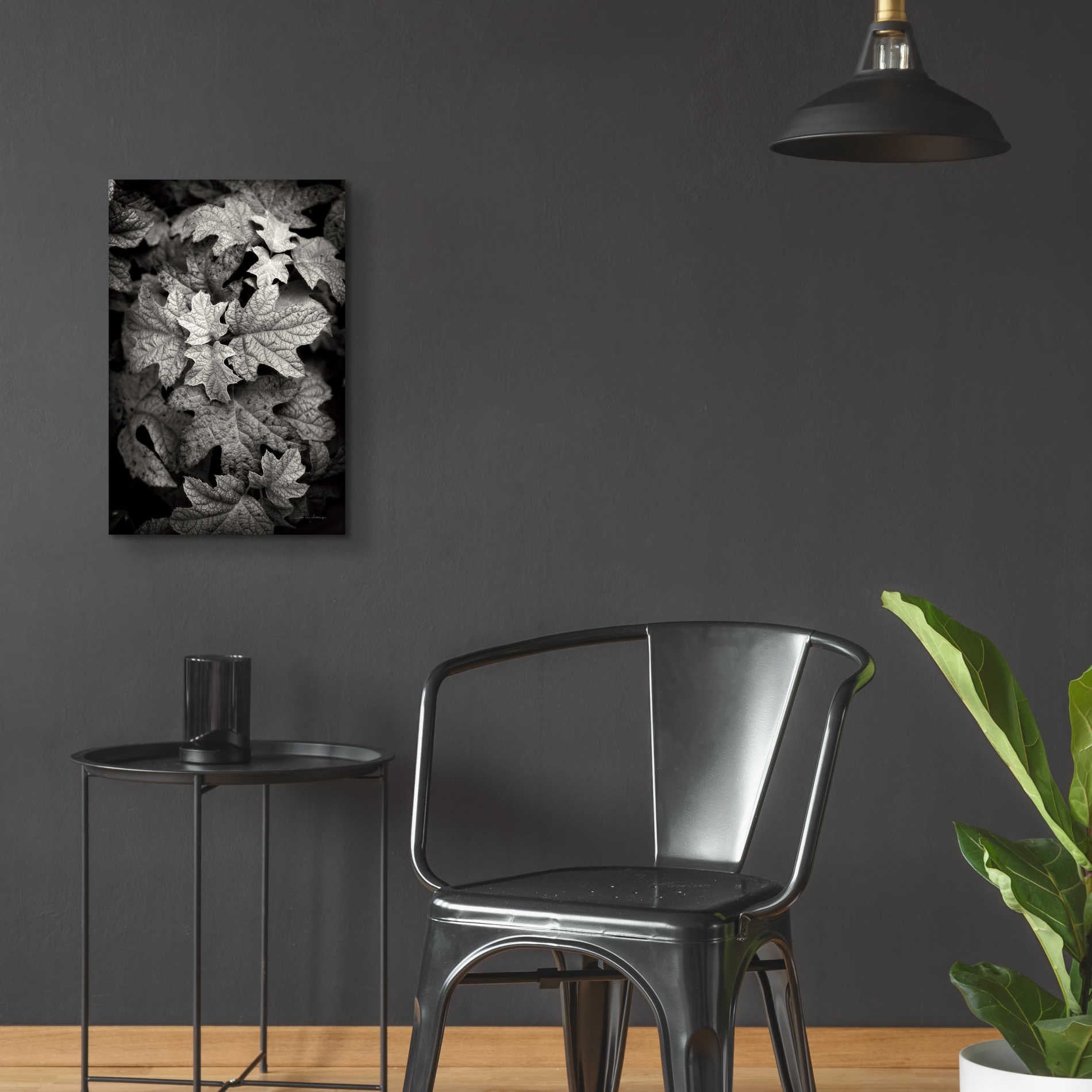 Epic Art 'Hydrangea Leaves in Black and White' by Debra Van Swearingen, Acrylic Glass Wall Art,16x24