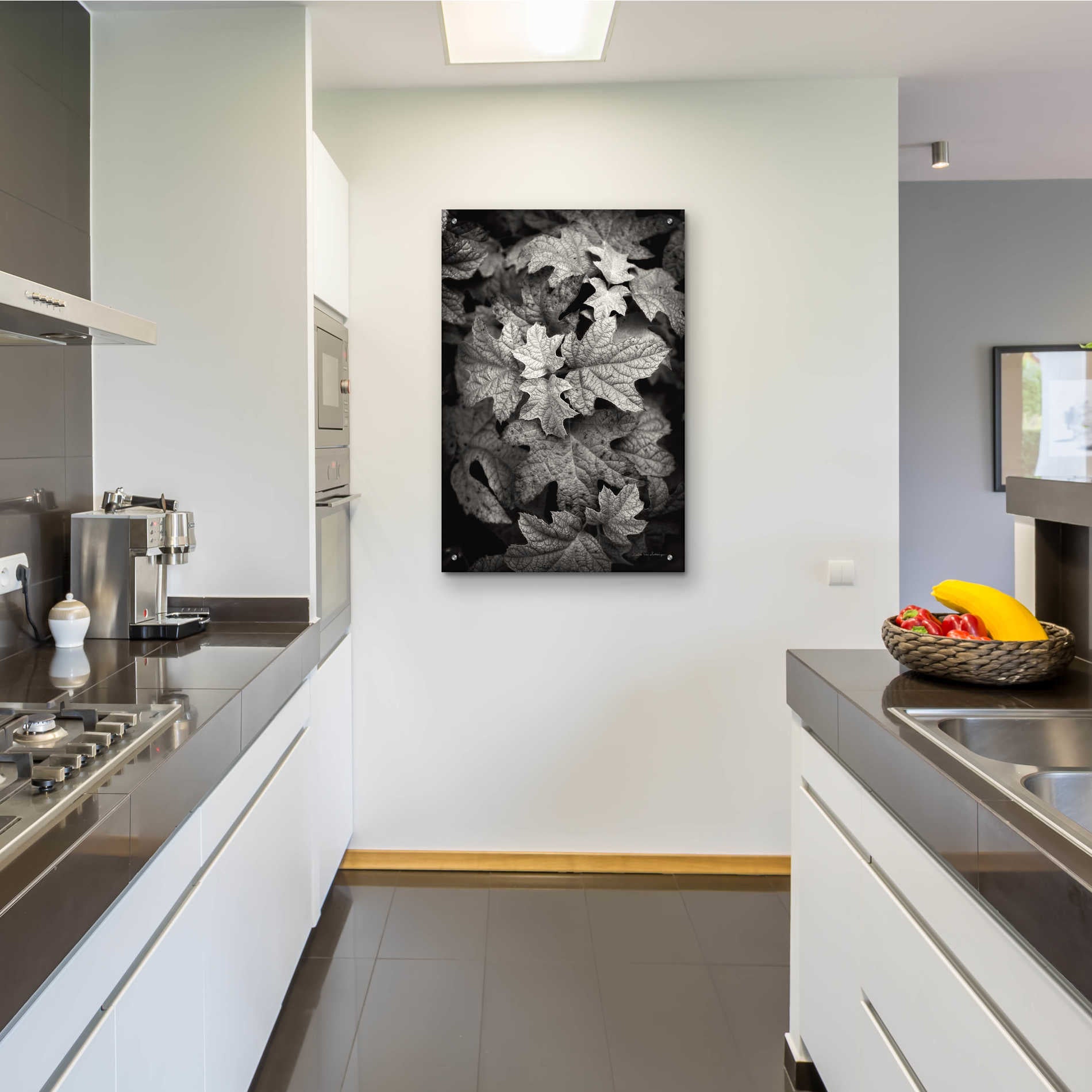 Epic Art 'Hydrangea Leaves in Black and White' by Debra Van Swearingen, Acrylic Glass Wall Art,24x36