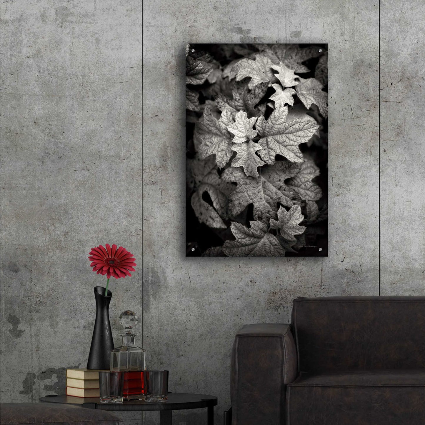 Epic Art 'Hydrangea Leaves in Black and White' by Debra Van Swearingen, Acrylic Glass Wall Art,24x36