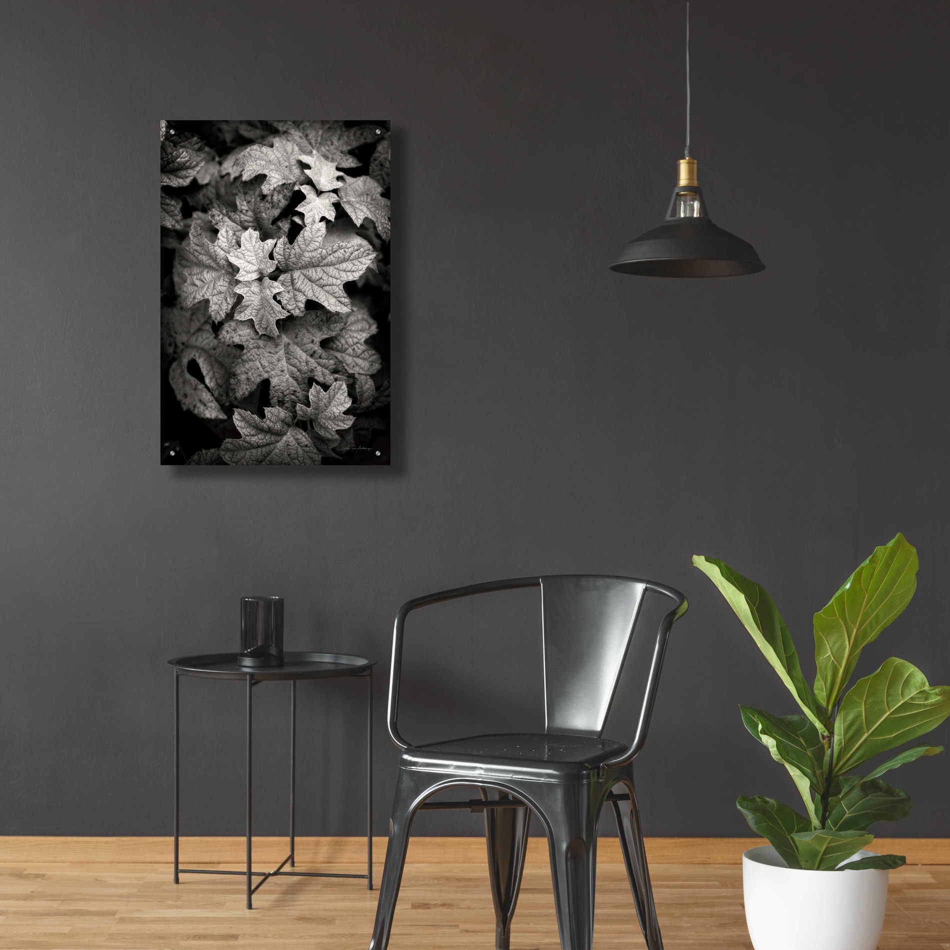 Epic Art 'Hydrangea Leaves in Black and White' by Debra Van Swearingen, Acrylic Glass Wall Art,24x36