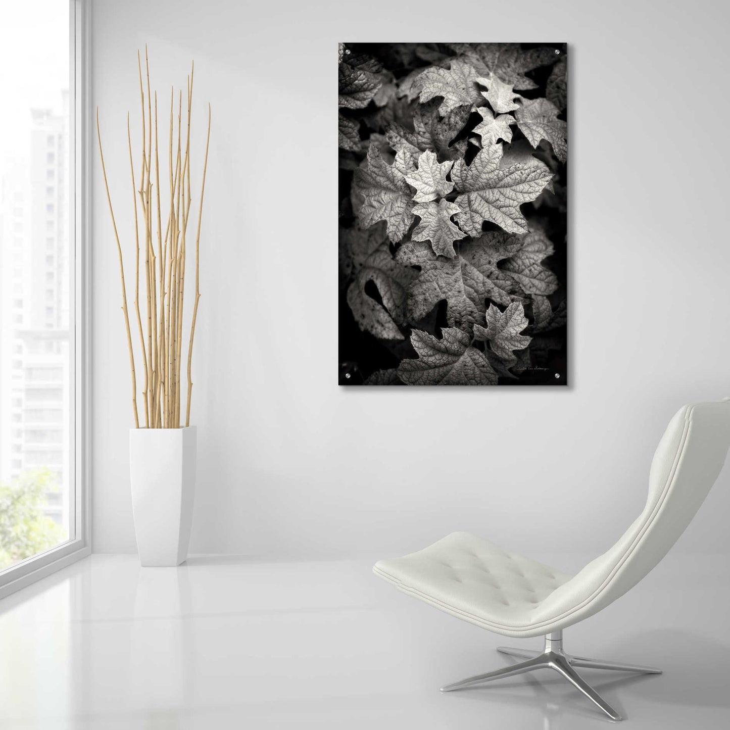 Epic Art 'Hydrangea Leaves in Black and White' by Debra Van Swearingen, Acrylic Glass Wall Art,24x36