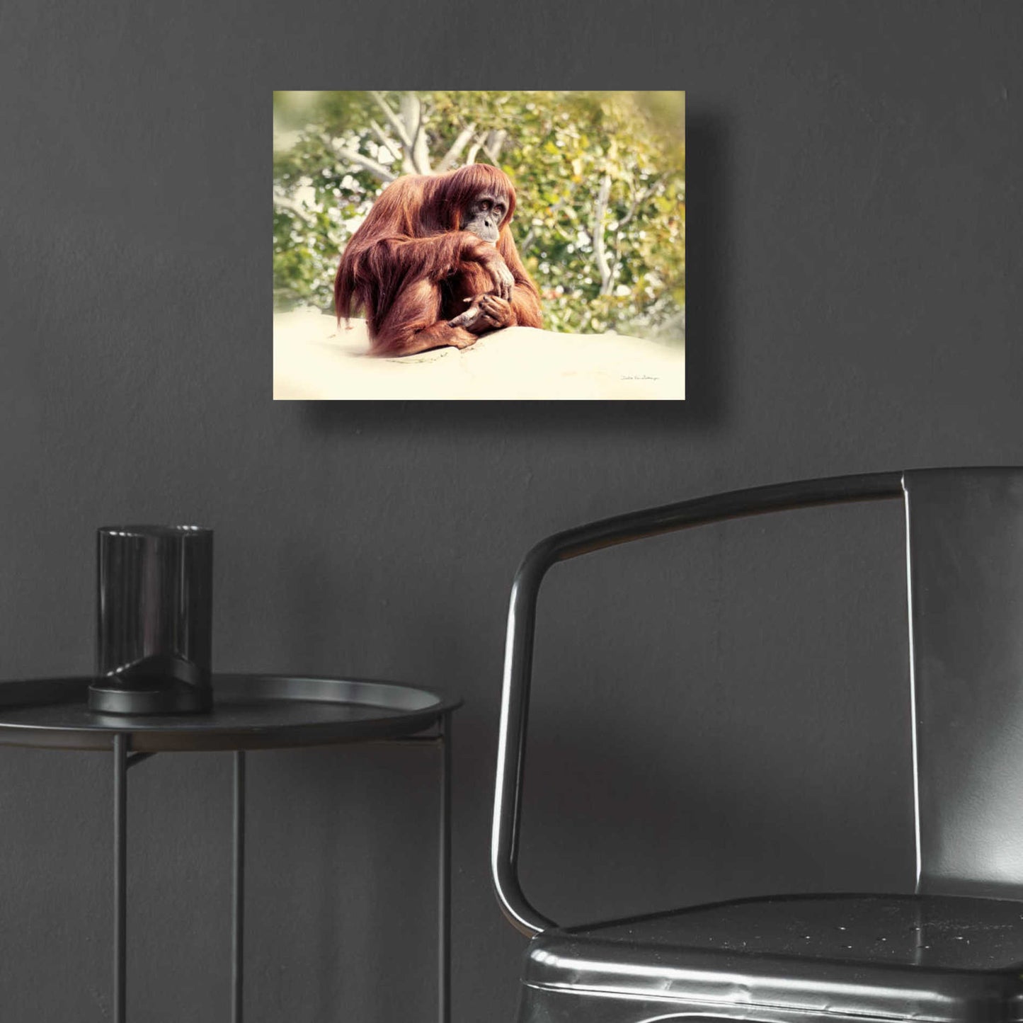 Epic Art 'Orangutan' by Debra Van Swearingen, Acrylic Glass Wall Art,16x12