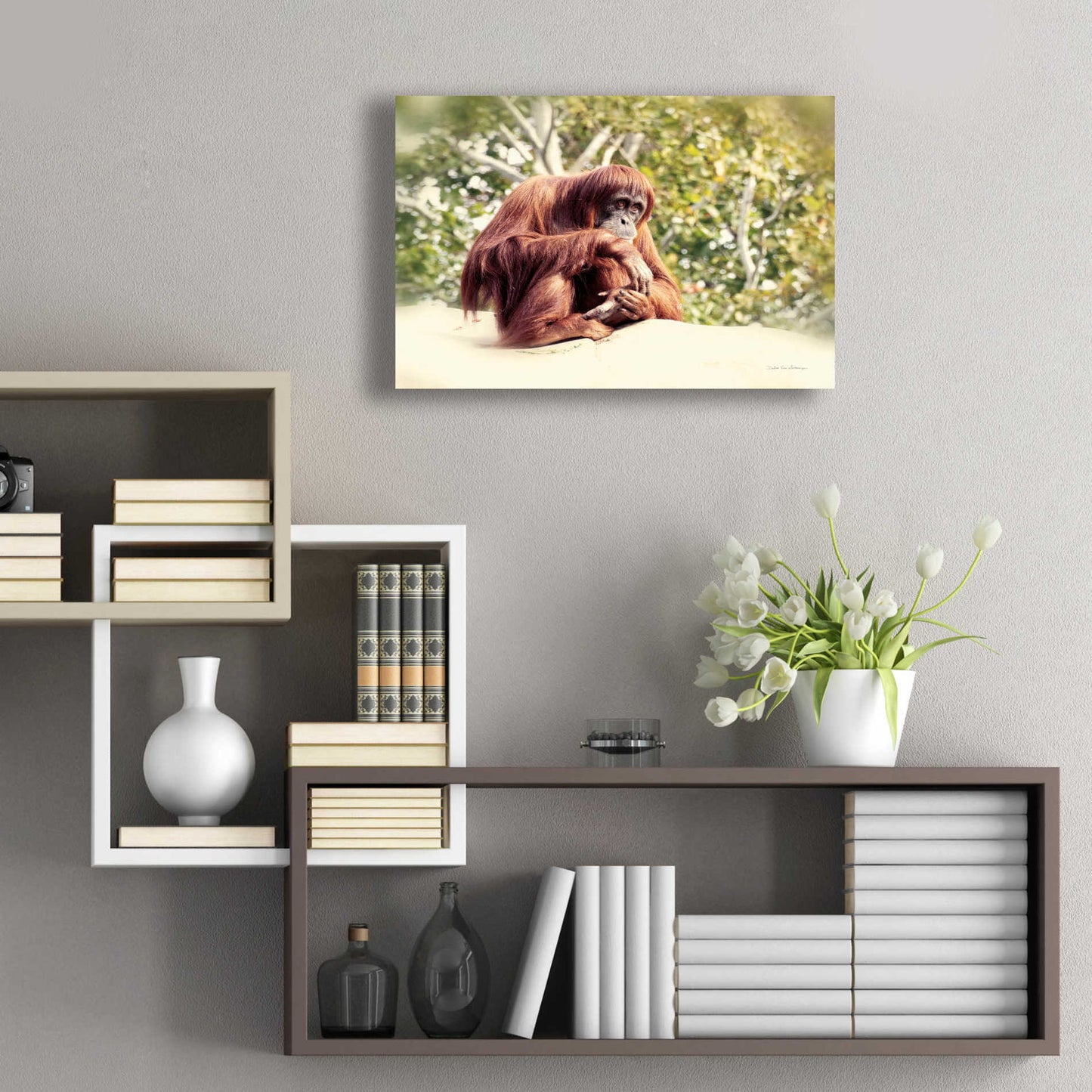 Epic Art 'Orangutan' by Debra Van Swearingen, Acrylic Glass Wall Art,24x16