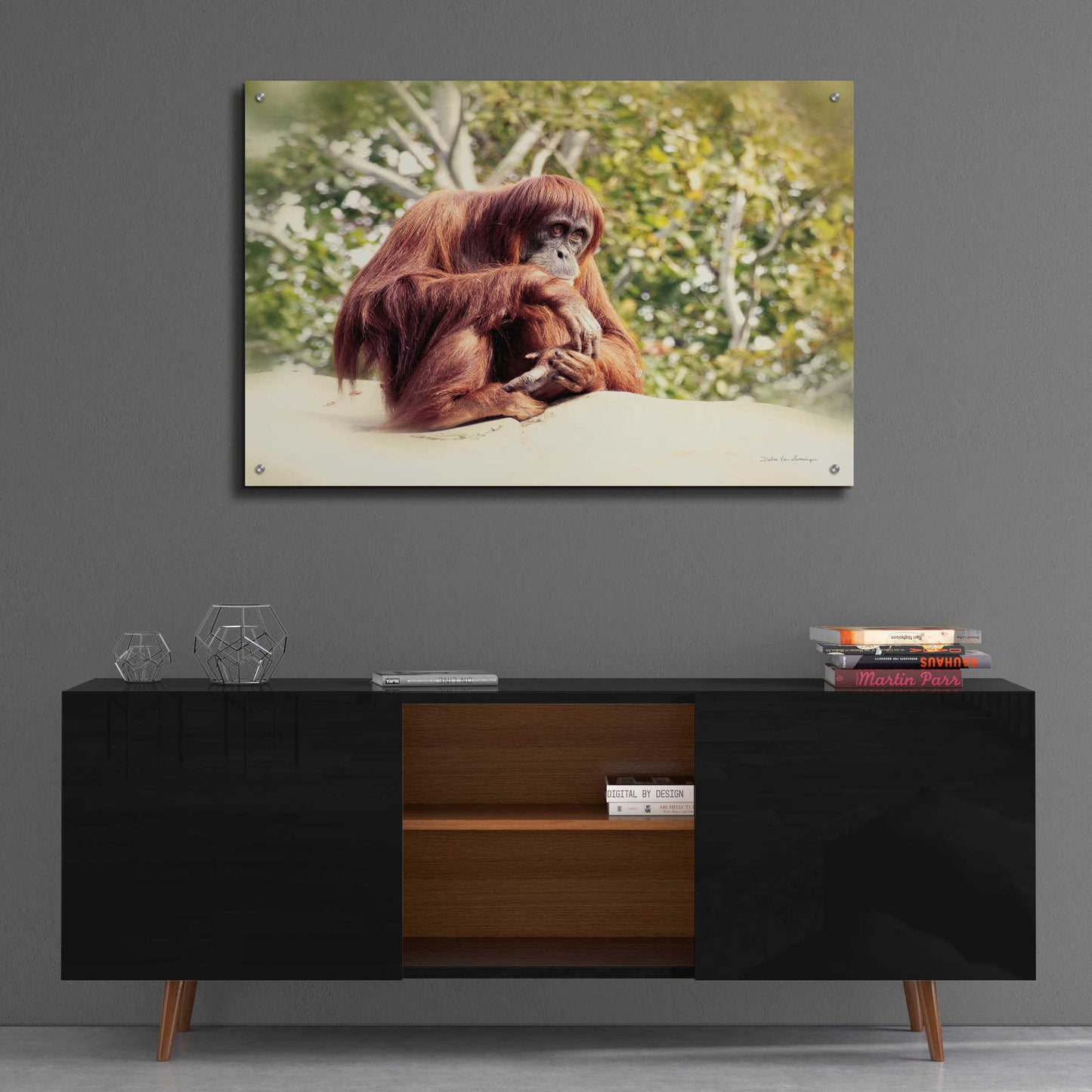 Epic Art 'Orangutan' by Debra Van Swearingen, Acrylic Glass Wall Art,36x24