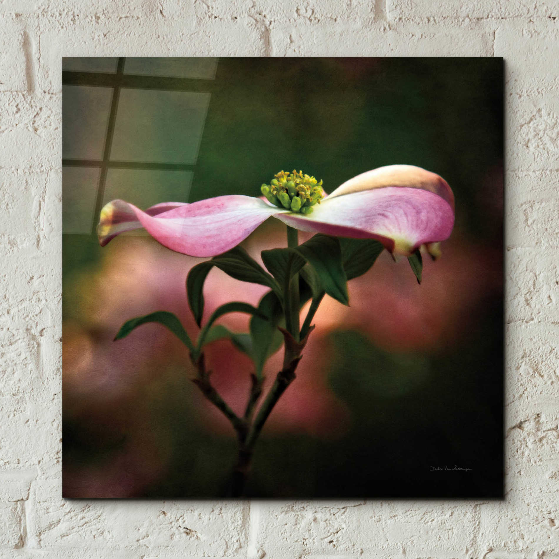 Epic Art 'Pink Dogwood I' by Debra Van Swearingen, Acrylic Glass Wall Art,12x12