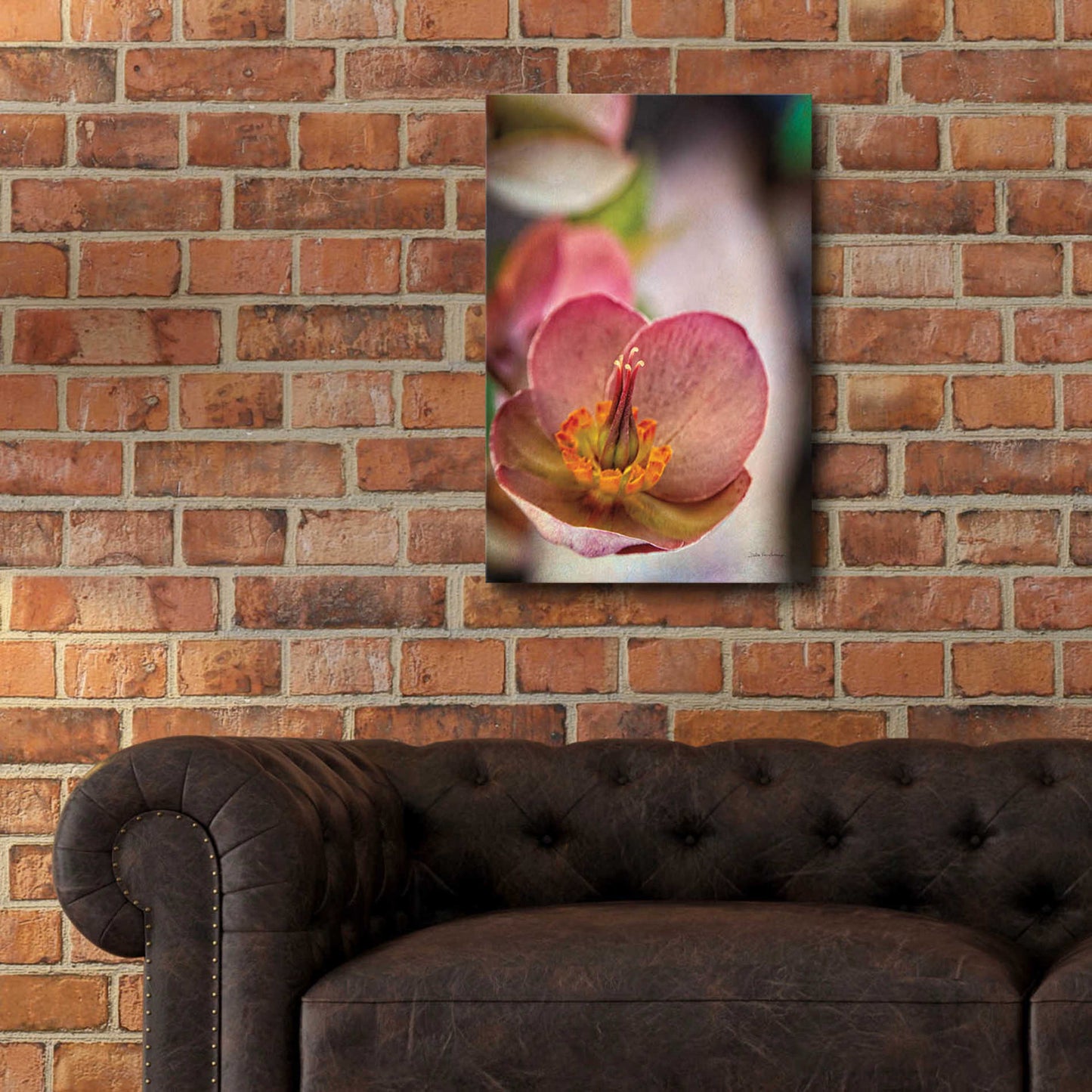 Epic Art 'Lenton Rose III' by Debra Van Swearingen, Acrylic Glass Wall Art,16x24