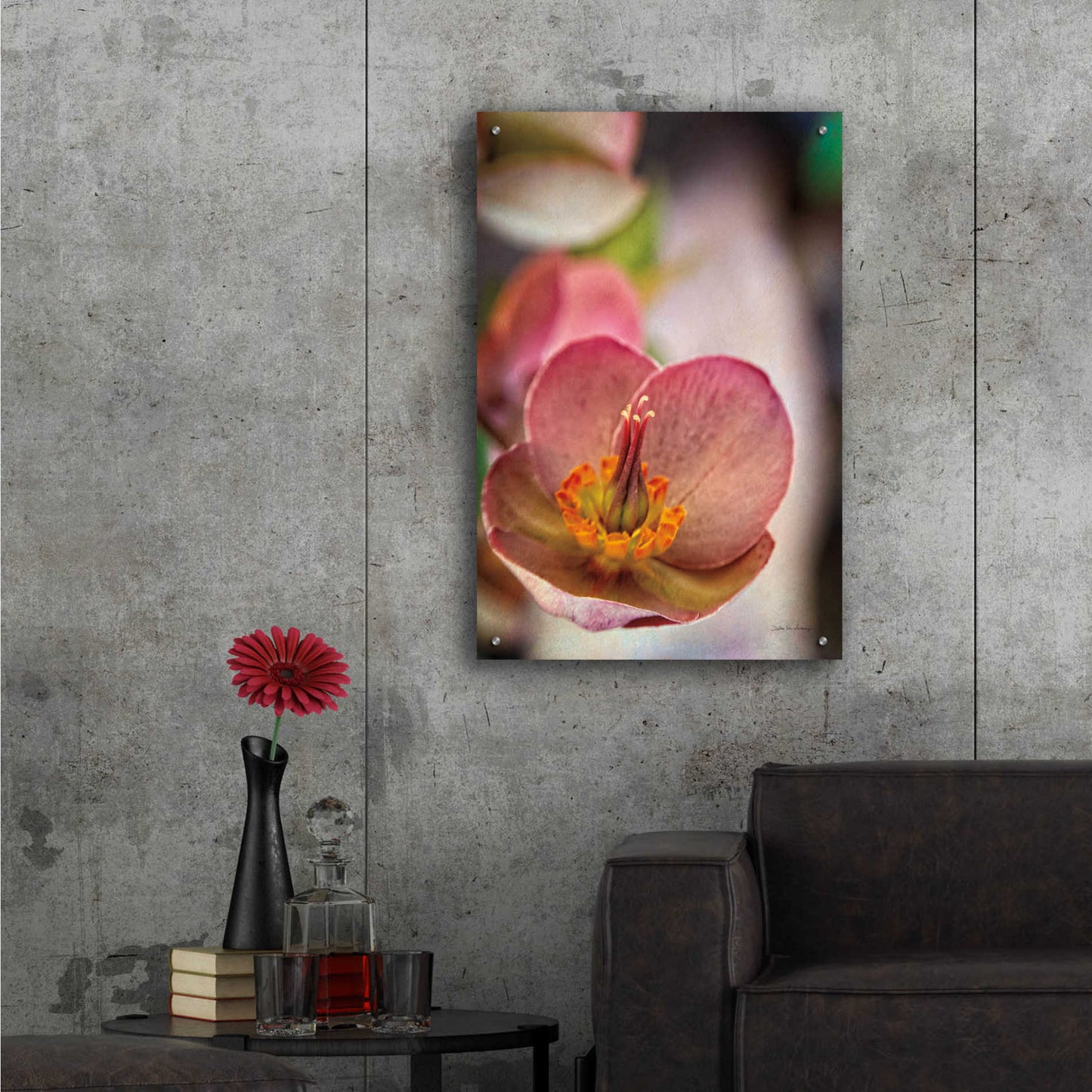 Epic Art 'Lenton Rose III' by Debra Van Swearingen, Acrylic Glass Wall Art,24x36