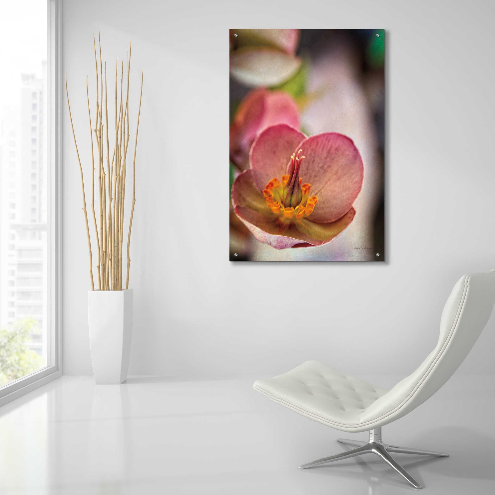 Epic Art 'Lenton Rose III' by Debra Van Swearingen, Acrylic Glass Wall Art,24x36