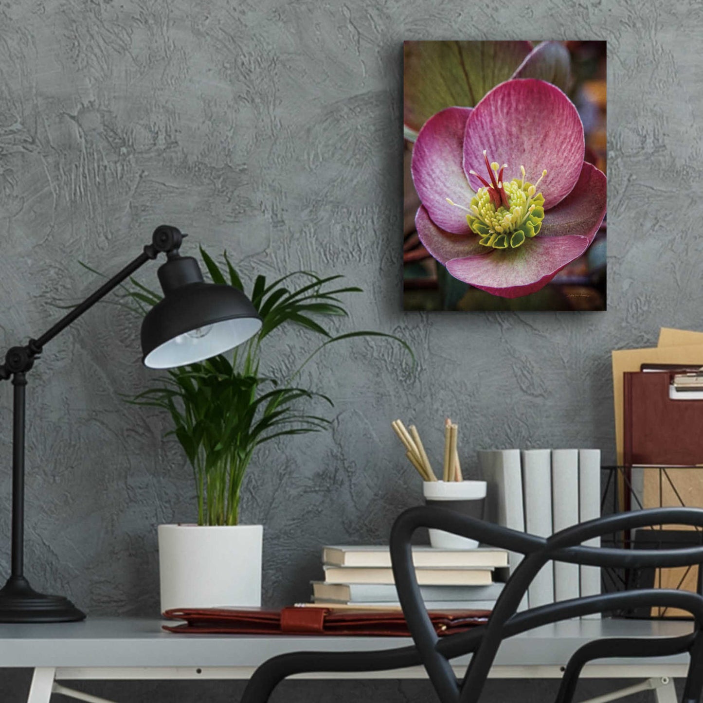 Epic Art 'Lenton Rose IV' by Debra Van Swearingen, Acrylic Glass Wall Art,12x16