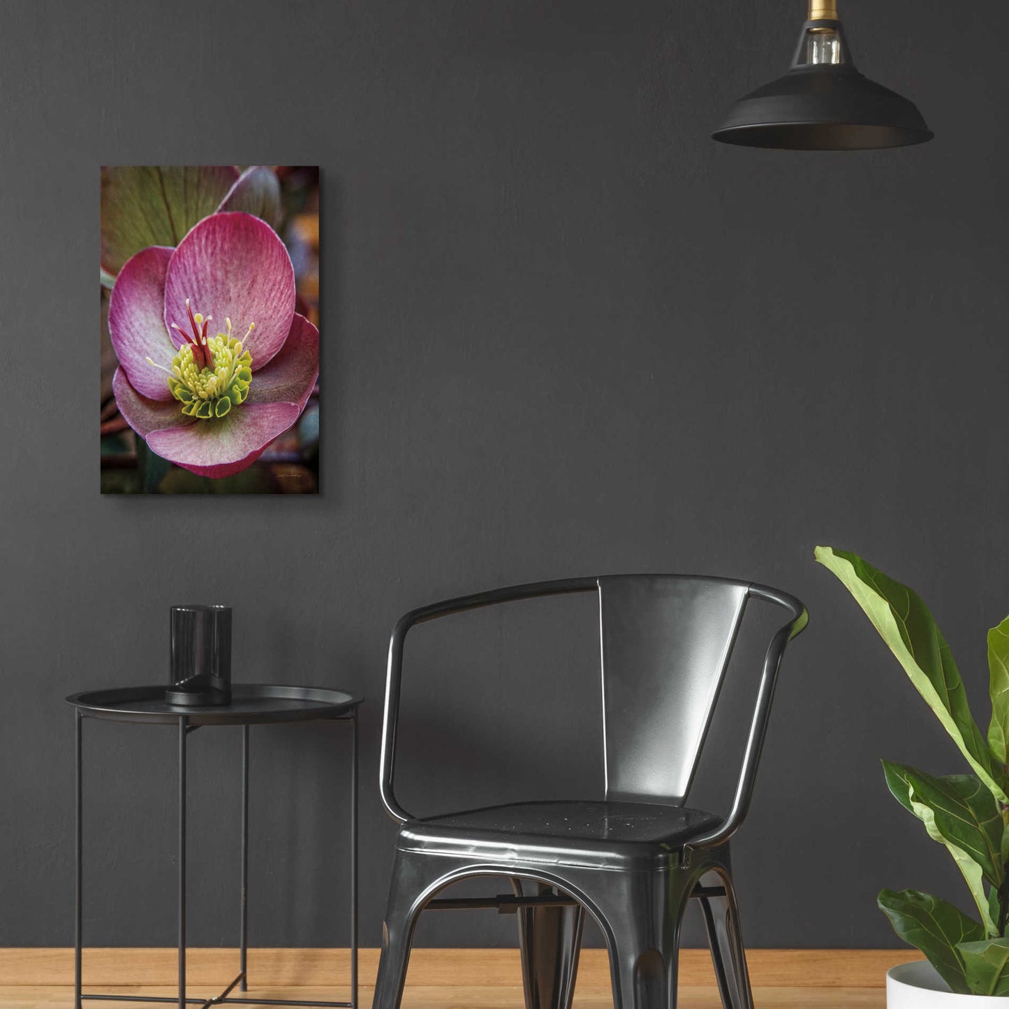 Epic Art 'Lenton Rose IV' by Debra Van Swearingen, Acrylic Glass Wall Art,16x24