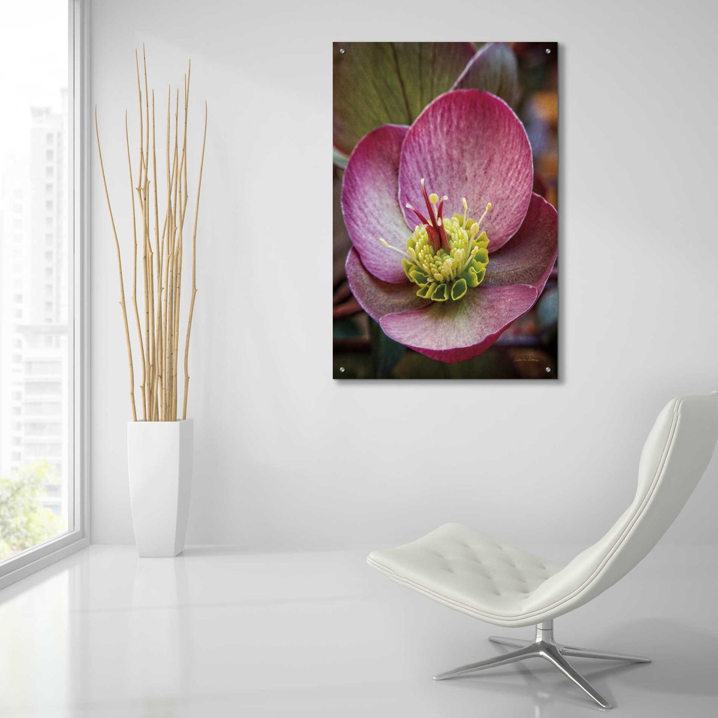 Epic Art 'Lenton Rose IV' by Debra Van Swearingen, Acrylic Glass Wall Art,24x36