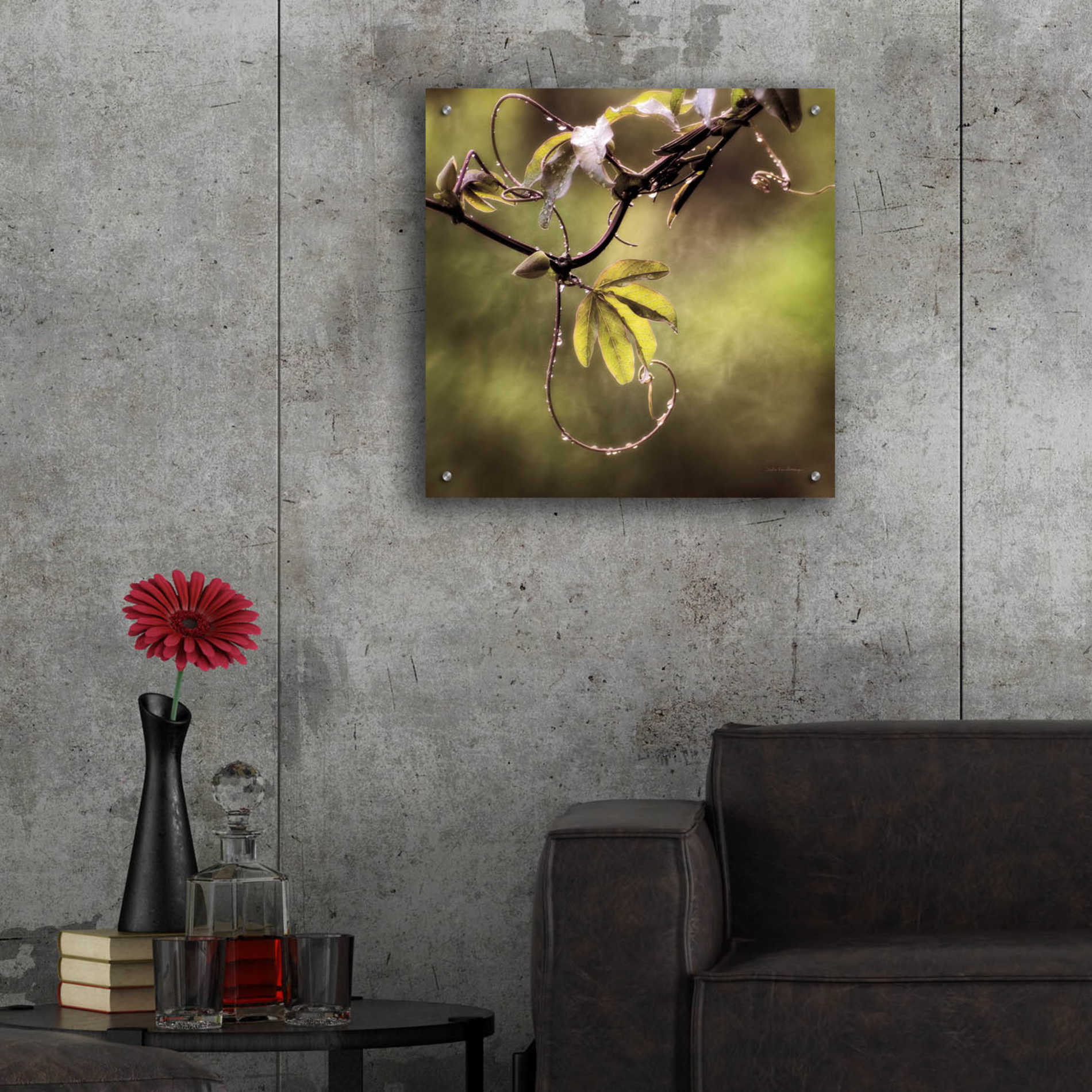 Epic Art 'Passion Flower Vine I' by Debra Van Swearingen, Acrylic Glass Wall Art,24x24