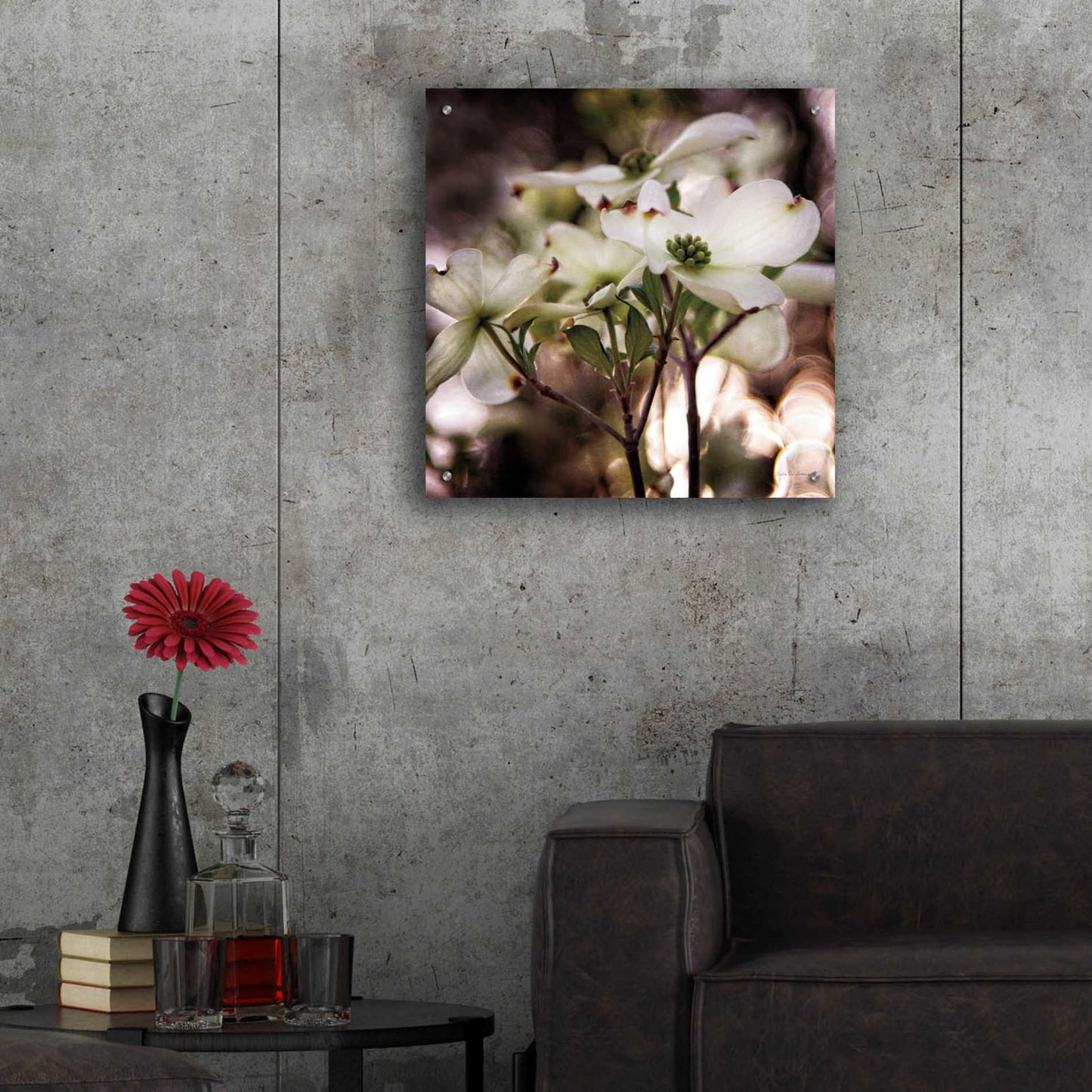 Epic Art 'White Dogwood II' by Debra Van Swearingen, Acrylic Glass Wall Art,24x24