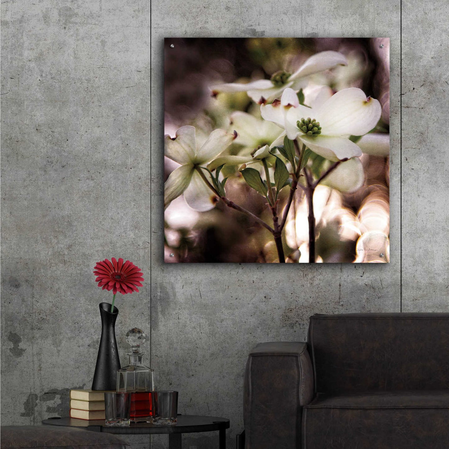 Epic Art 'White Dogwood II' by Debra Van Swearingen, Acrylic Glass Wall Art,36x36