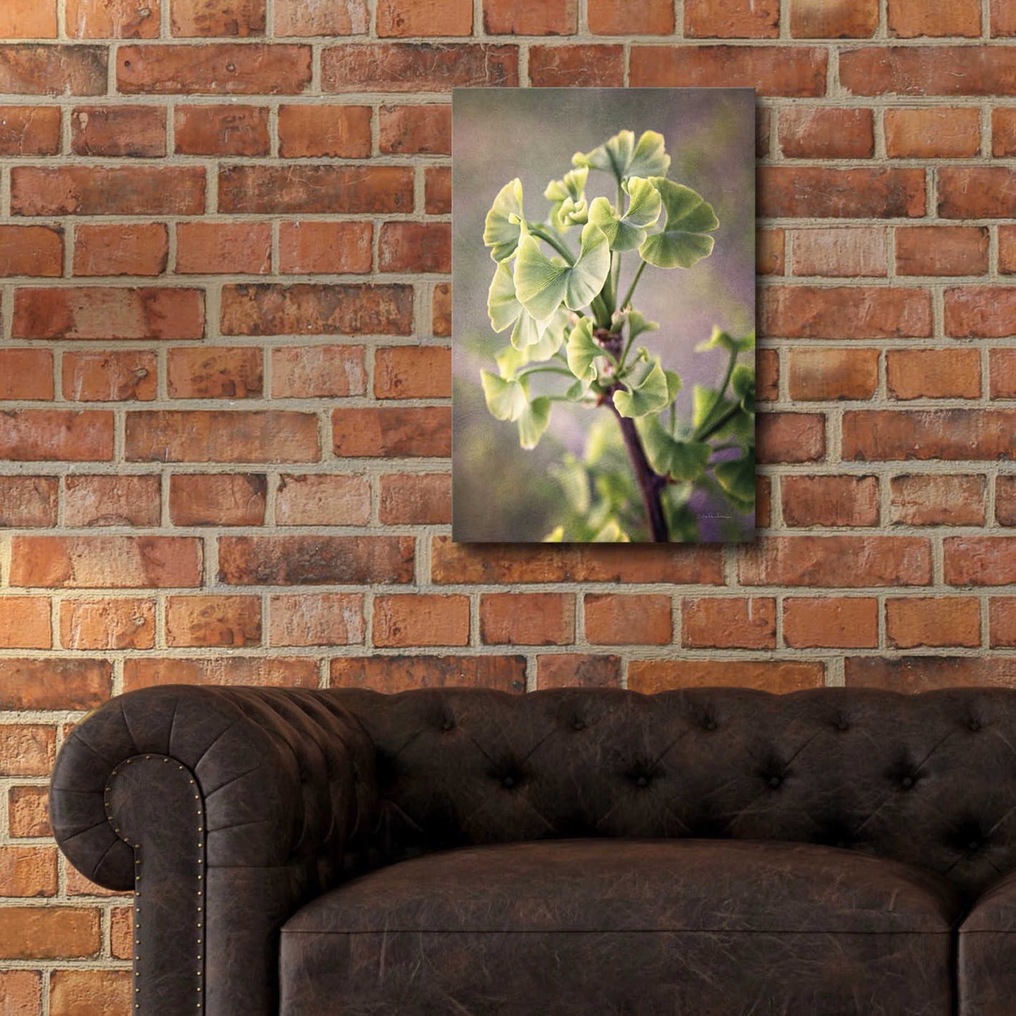 Epic Art 'Sprouting Ginkgo I' by Debra Van Swearingen, Acrylic Glass Wall Art,16x24