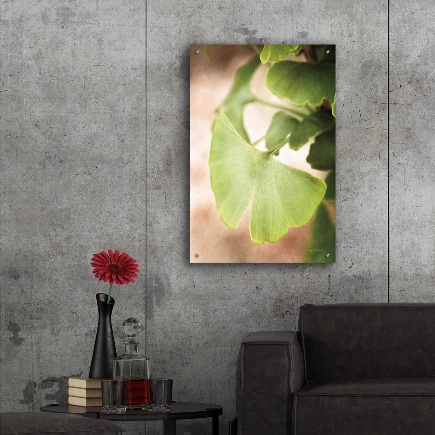 Epic Art 'Sprouting Ginkgo III' by Debra Van Swearingen, Acrylic Glass Wall Art,24x36