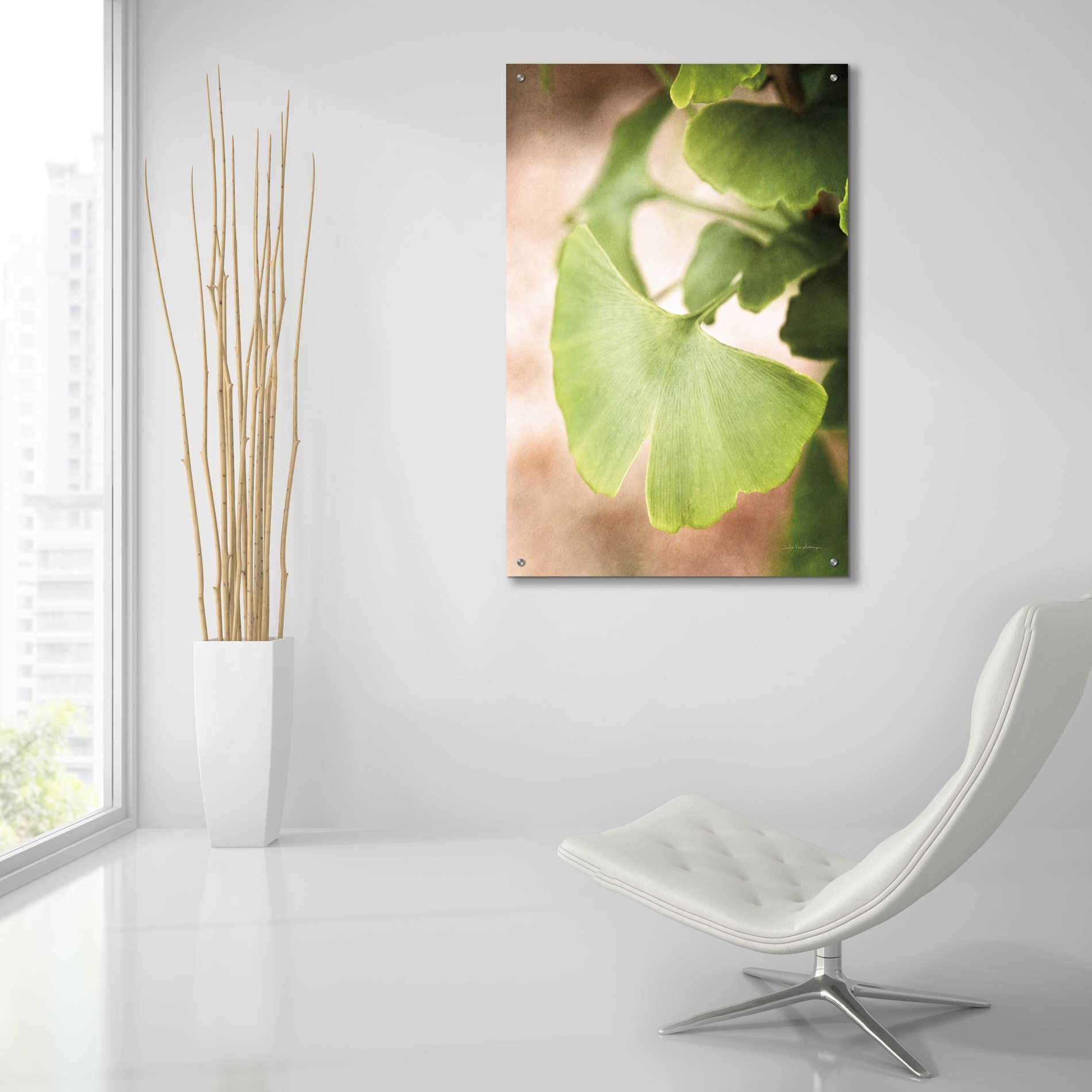 Epic Art 'Sprouting Ginkgo III' by Debra Van Swearingen, Acrylic Glass Wall Art,24x36