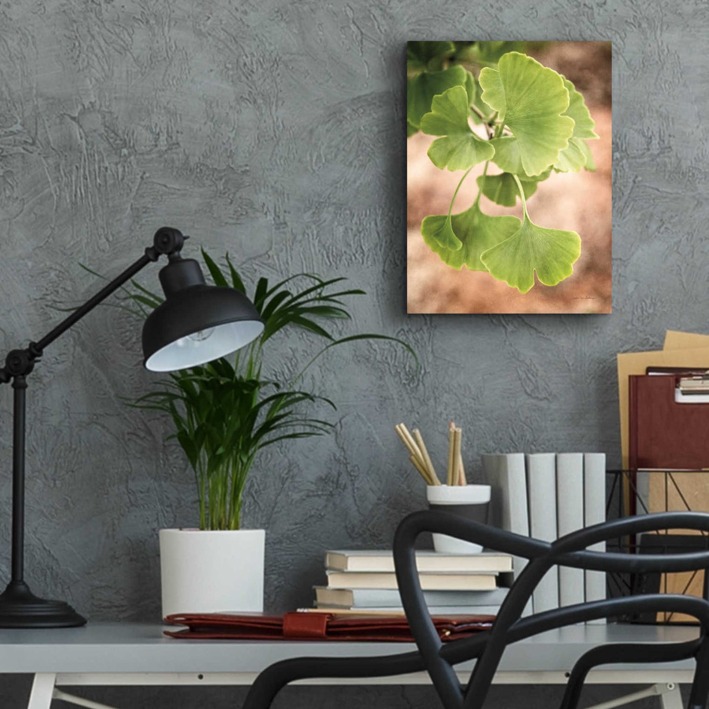 Epic Art 'Sprouting Ginkgo IV' by Debra Van Swearingen, Acrylic Glass Wall Art,12x16