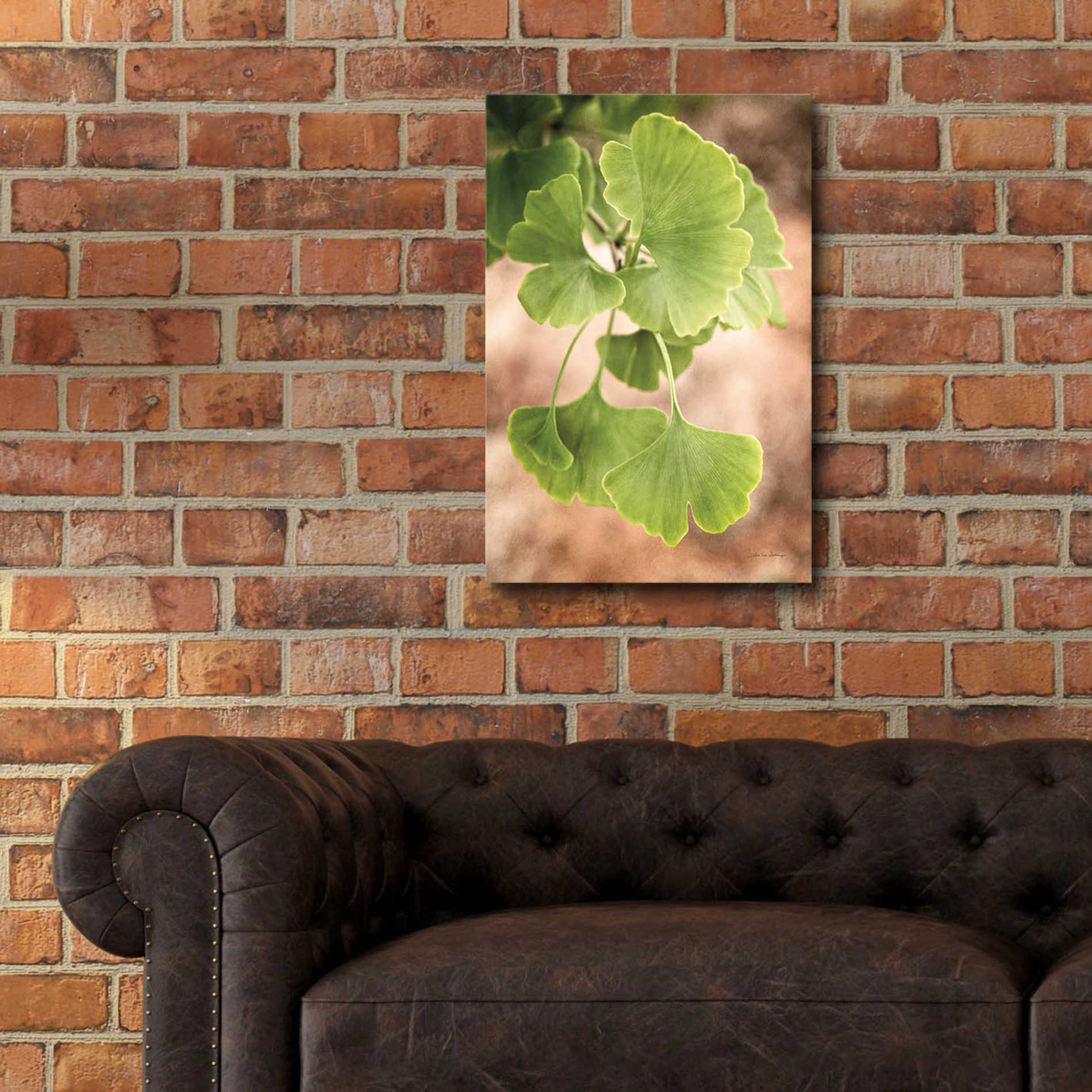 Epic Art 'Sprouting Ginkgo IV' by Debra Van Swearingen, Acrylic Glass Wall Art,16x24