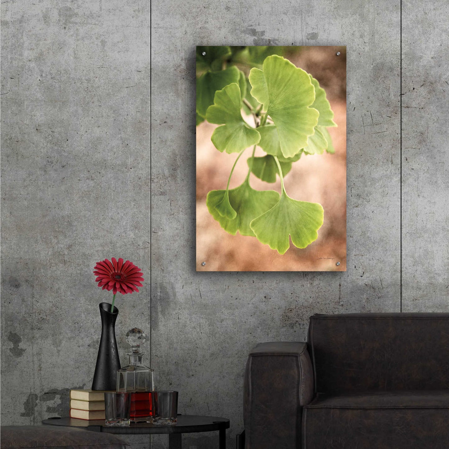 Epic Art 'Sprouting Ginkgo IV' by Debra Van Swearingen, Acrylic Glass Wall Art,24x36