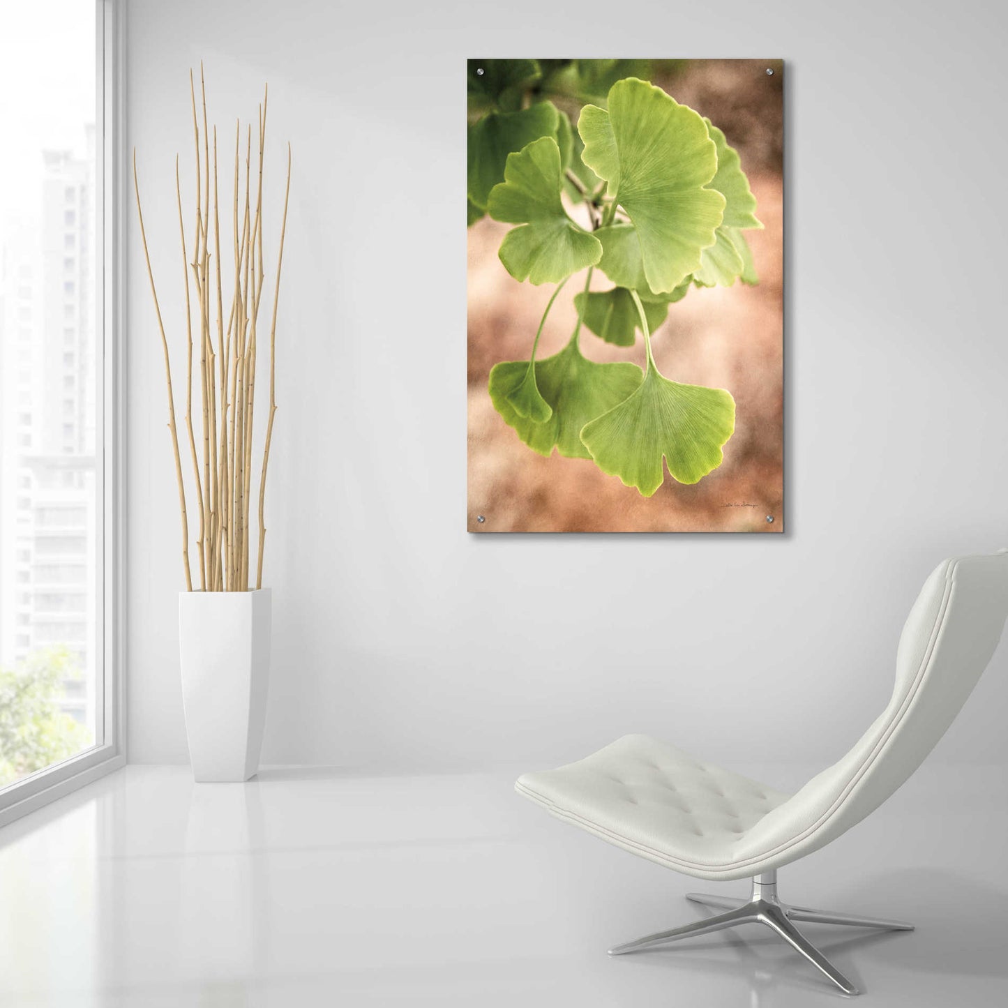 Epic Art 'Sprouting Ginkgo IV' by Debra Van Swearingen, Acrylic Glass Wall Art,24x36