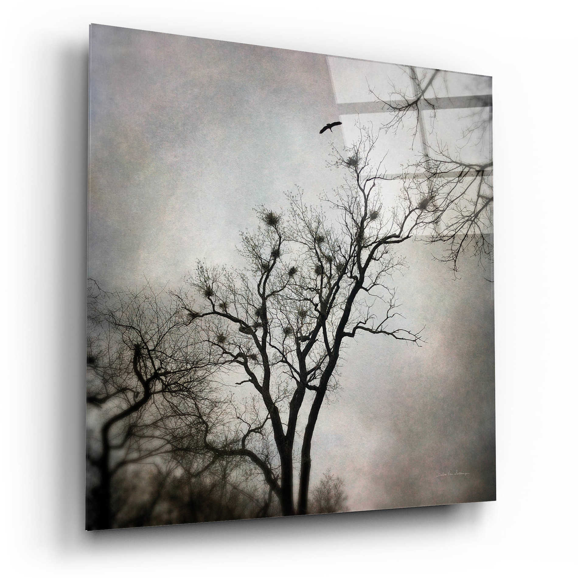 Epic Art 'The Heron Rookery' by Debra Van Swearingen, Acrylic Glass Wall Art,12x12