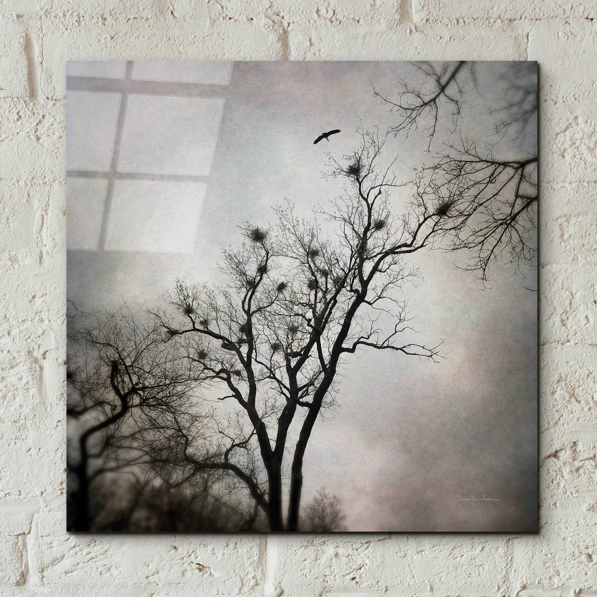 Epic Art 'The Heron Rookery' by Debra Van Swearingen, Acrylic Glass Wall Art,12x12