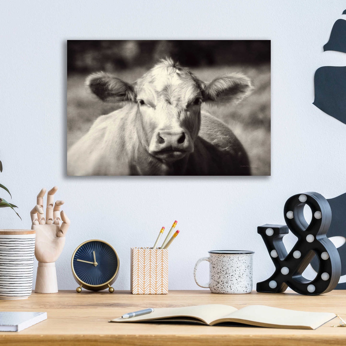 Epic Art 'Pasture Cow' by Debra Van Swearingen, Acrylic Glass Wall Art,16x12