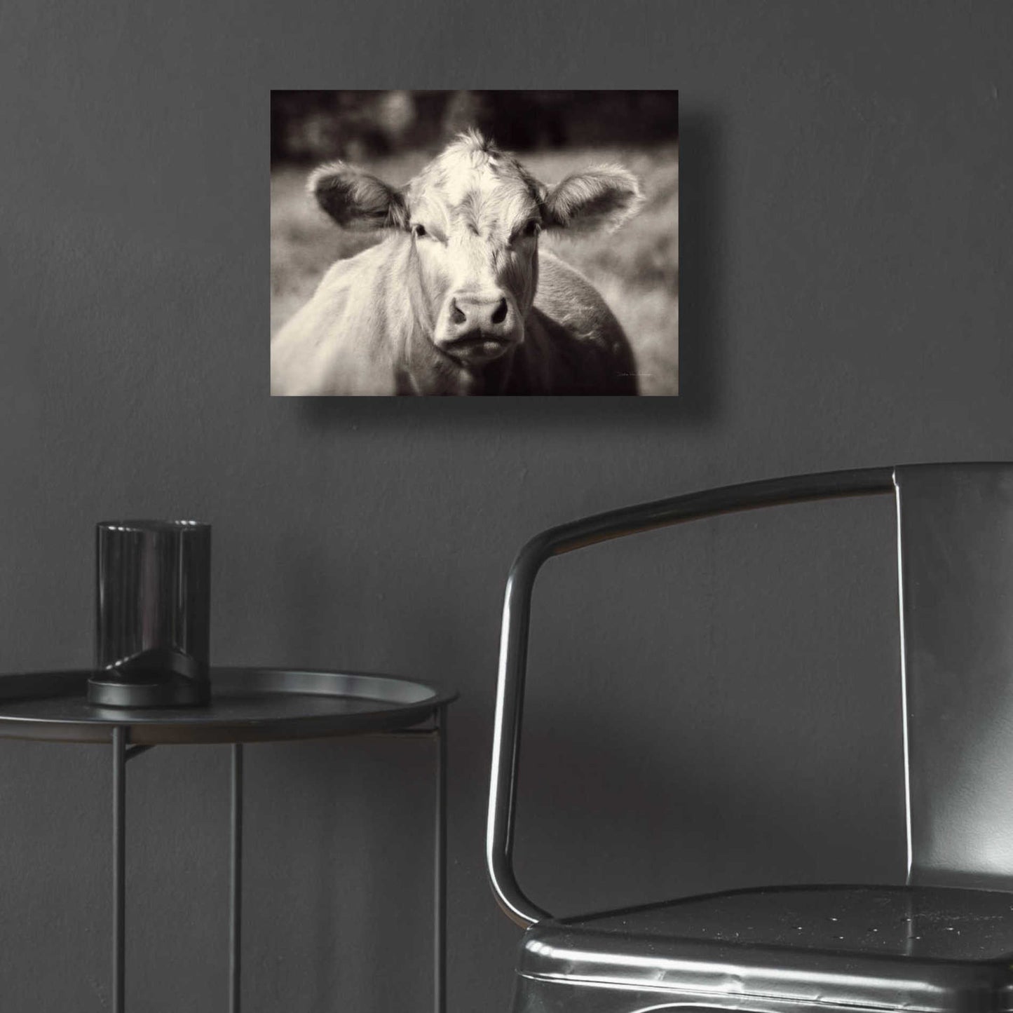 Epic Art 'Pasture Cow' by Debra Van Swearingen, Acrylic Glass Wall Art,16x12