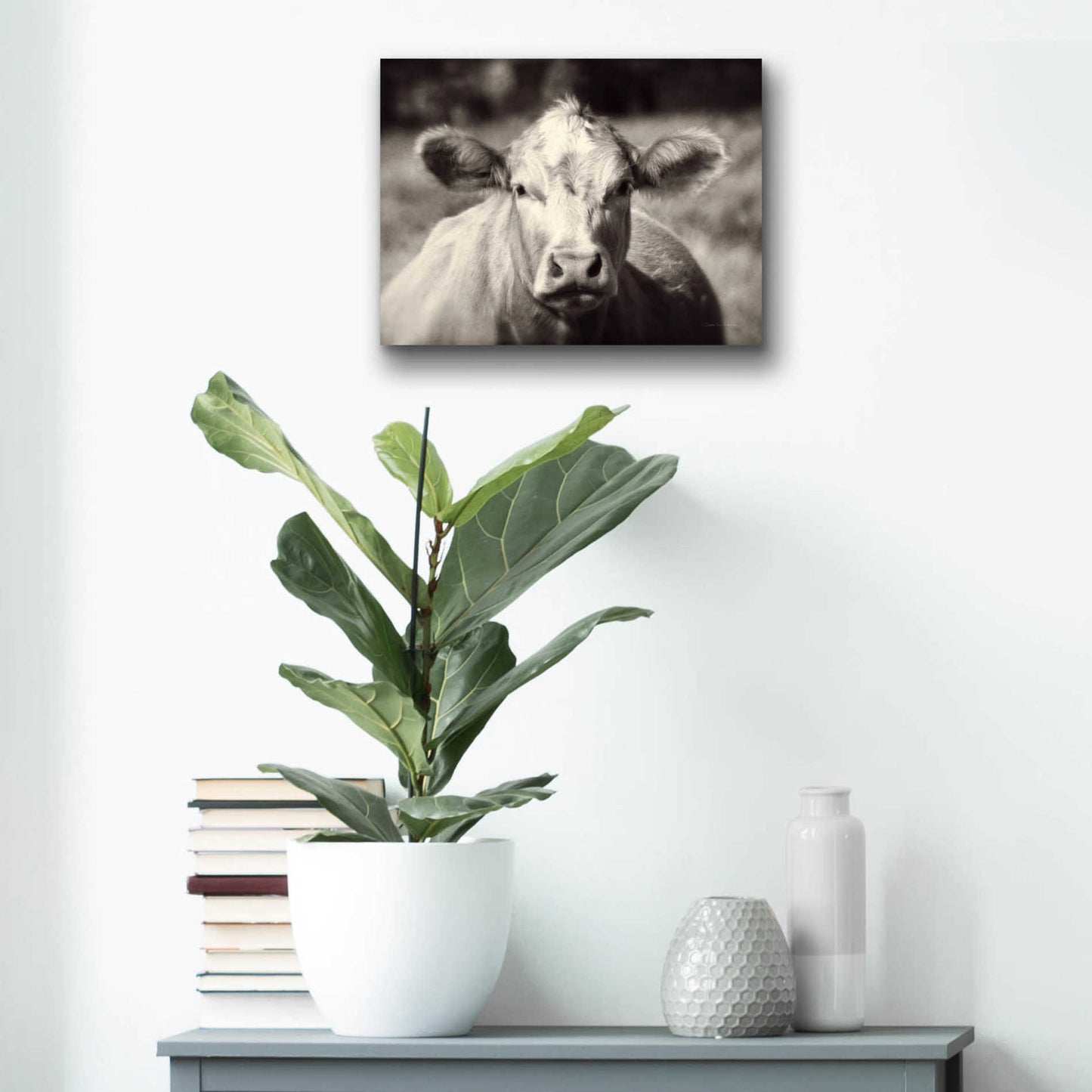 Epic Art 'Pasture Cow' by Debra Van Swearingen, Acrylic Glass Wall Art,16x12