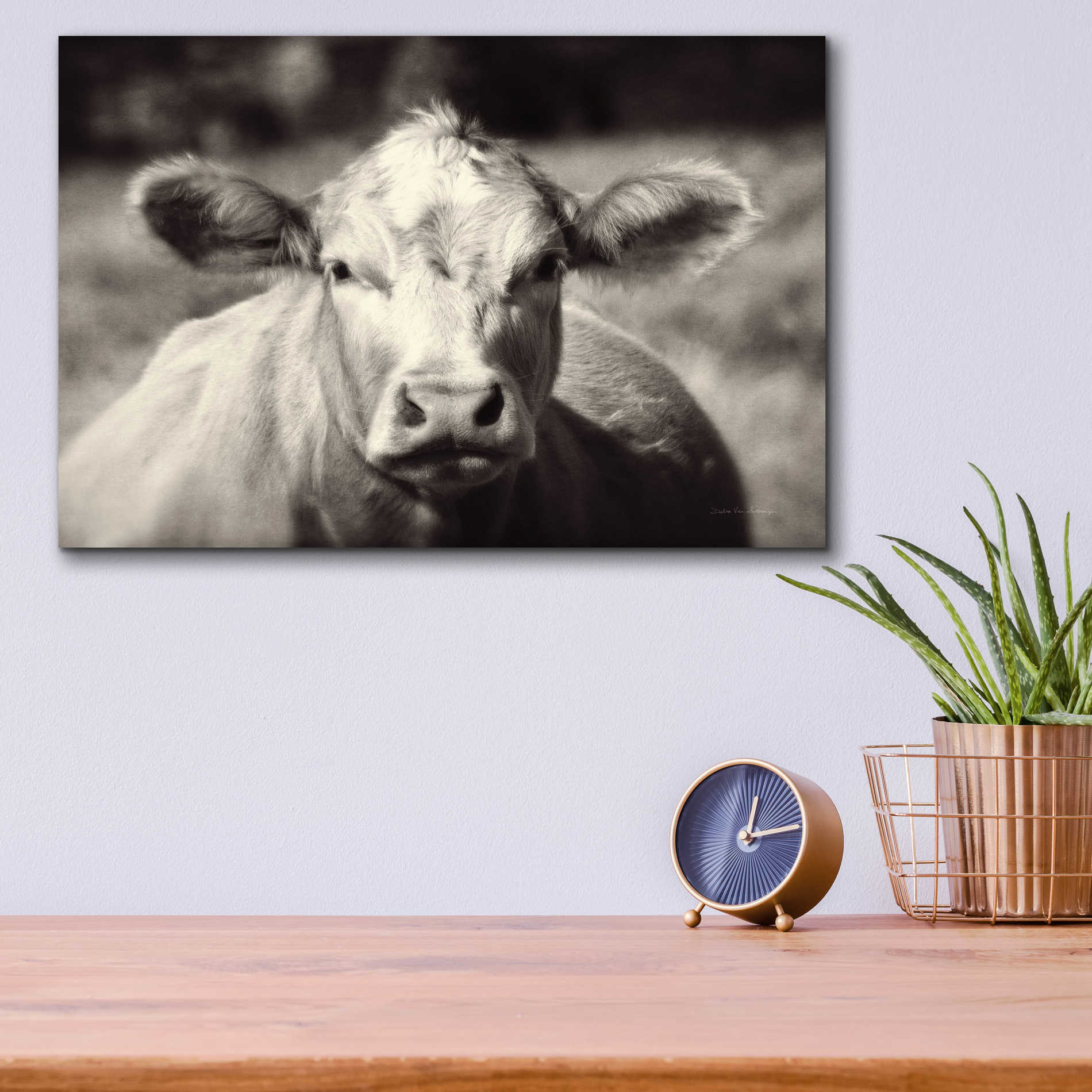 Epic Art 'Pasture Cow' by Debra Van Swearingen, Acrylic Glass Wall Art,16x12