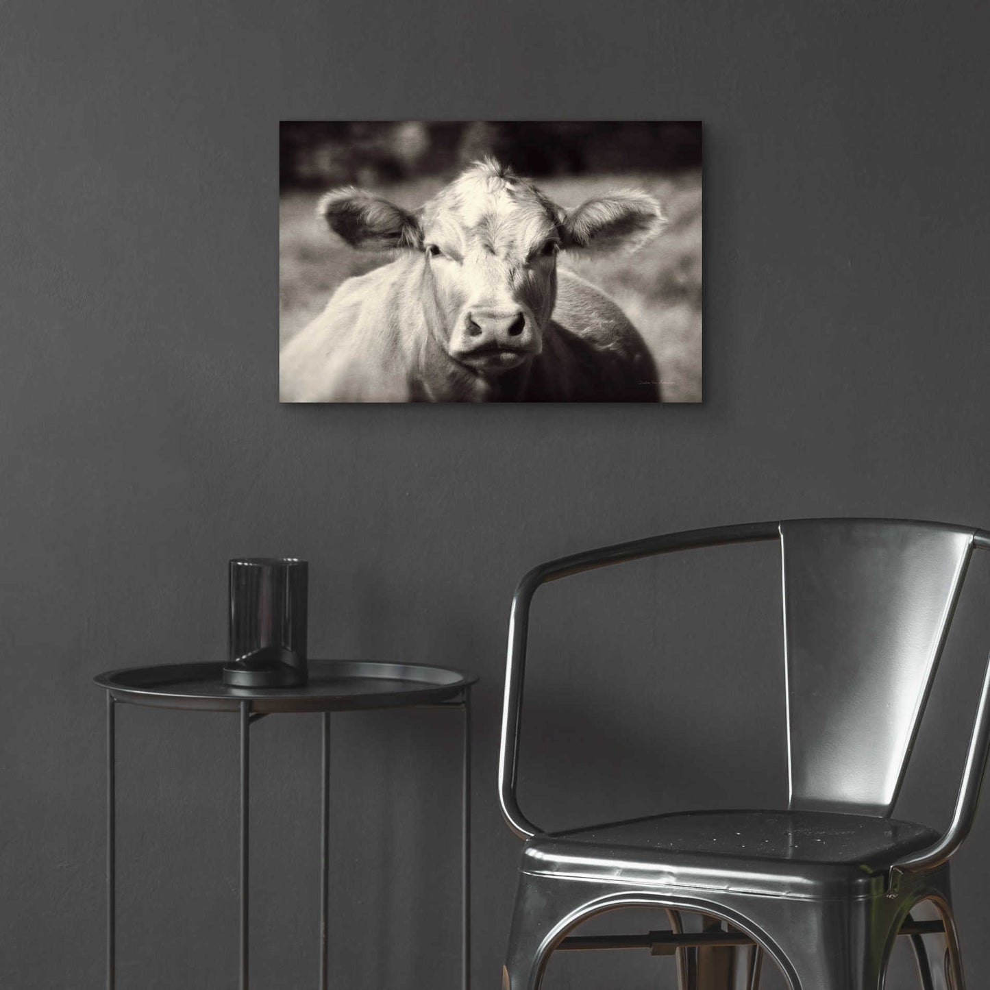 Epic Art 'Pasture Cow' by Debra Van Swearingen, Acrylic Glass Wall Art,24x16