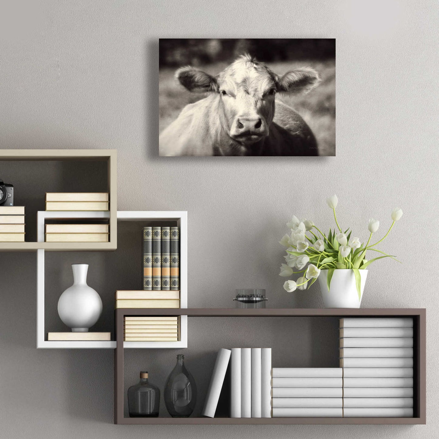 Epic Art 'Pasture Cow' by Debra Van Swearingen, Acrylic Glass Wall Art,24x16