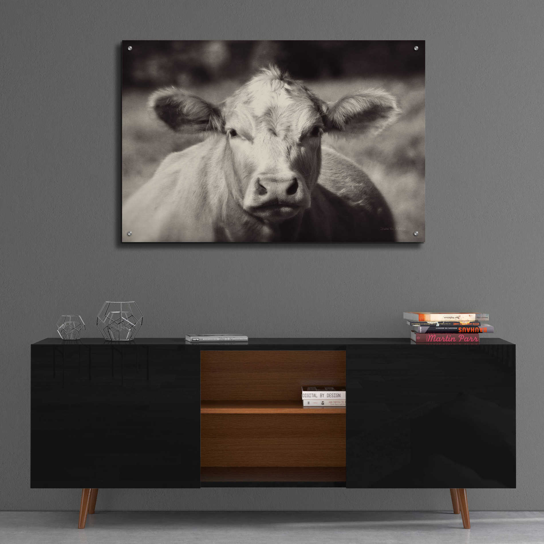 Epic Art 'Pasture Cow' by Debra Van Swearingen, Acrylic Glass Wall Art,36x24