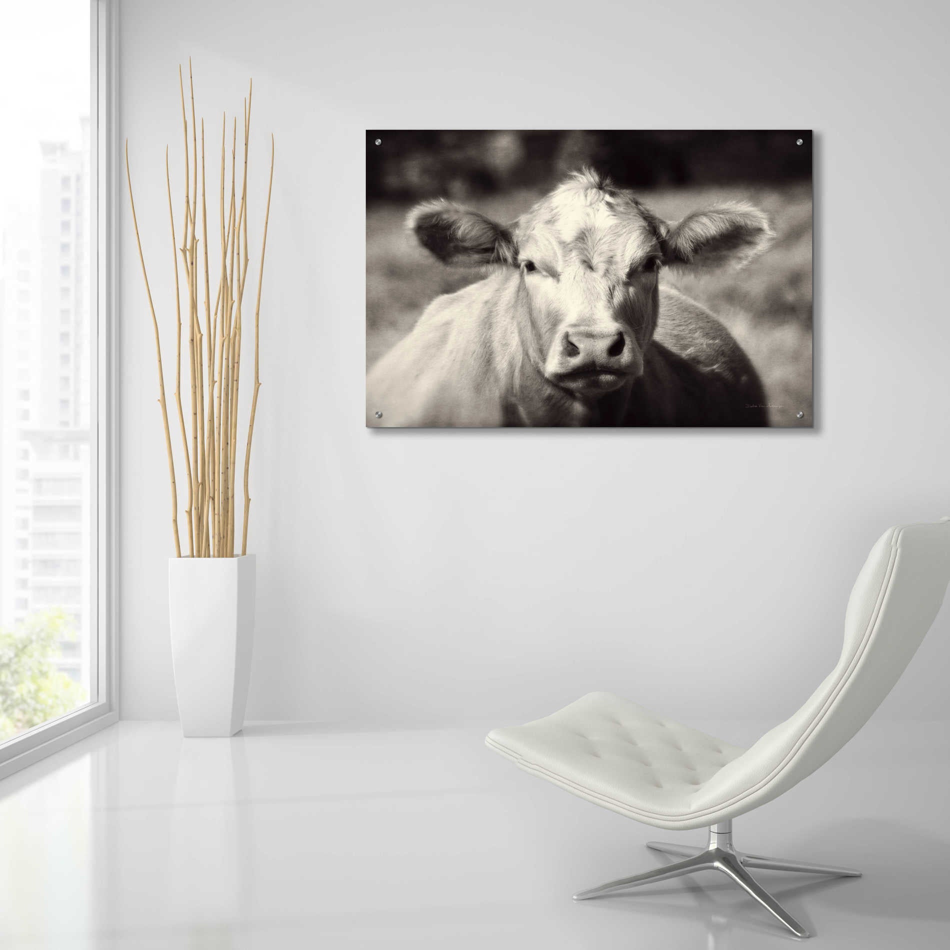 Epic Art 'Pasture Cow' by Debra Van Swearingen, Acrylic Glass Wall Art,36x24