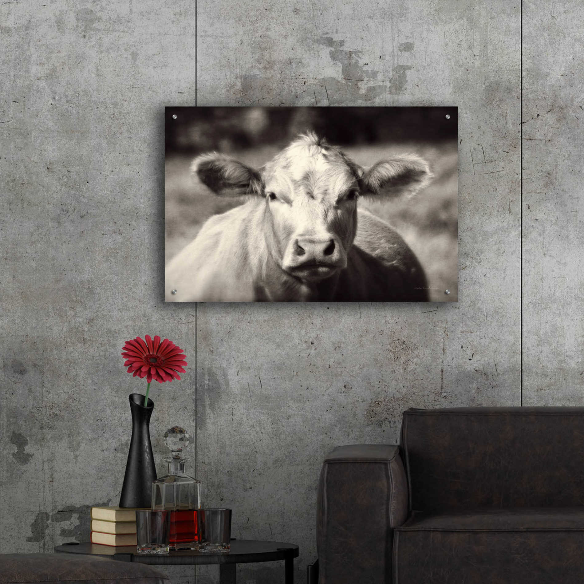 Epic Art 'Pasture Cow' by Debra Van Swearingen, Acrylic Glass Wall Art,36x24