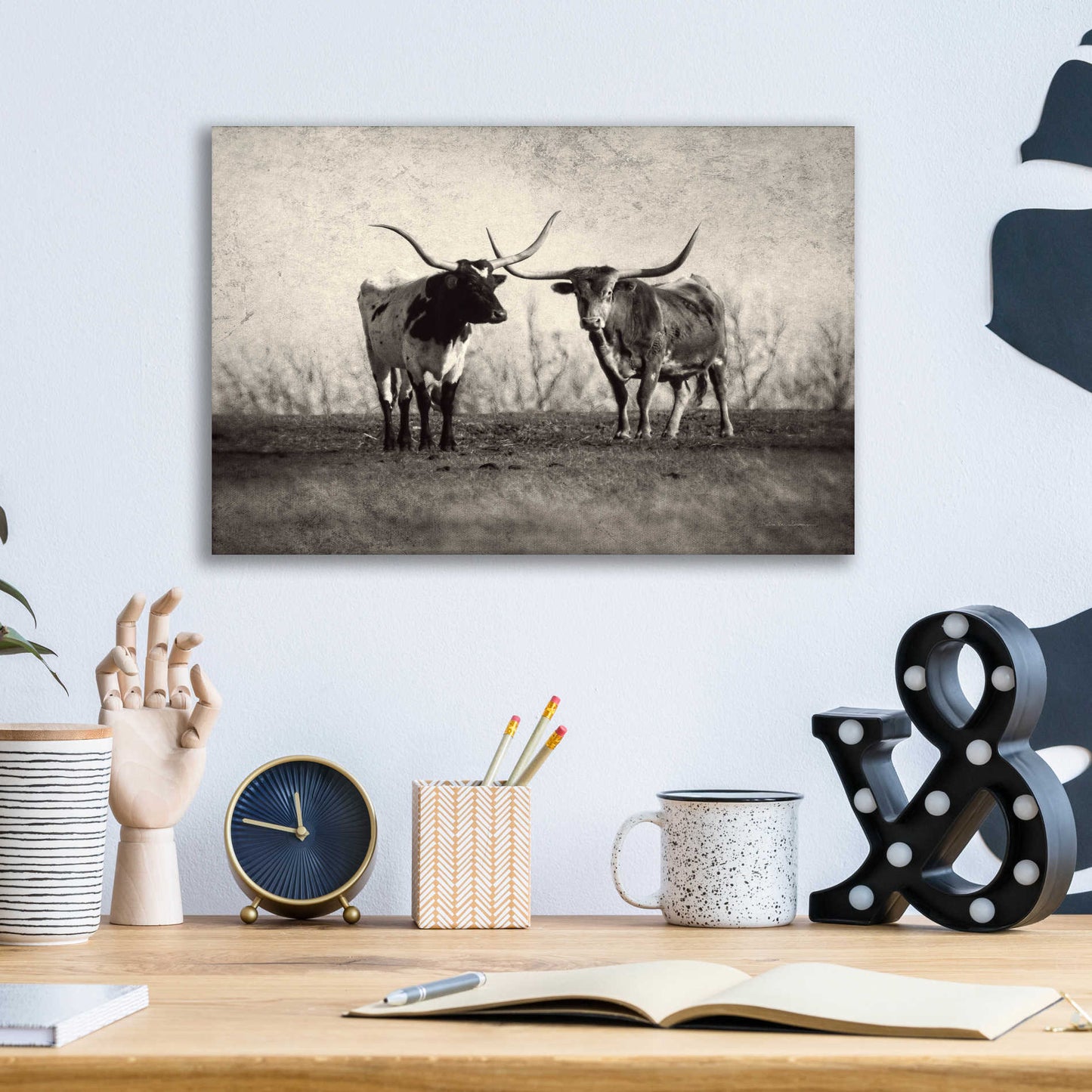 Epic Art 'Texas Longhorns' by Debra Van Swearingen, Acrylic Glass Wall Art,16x12