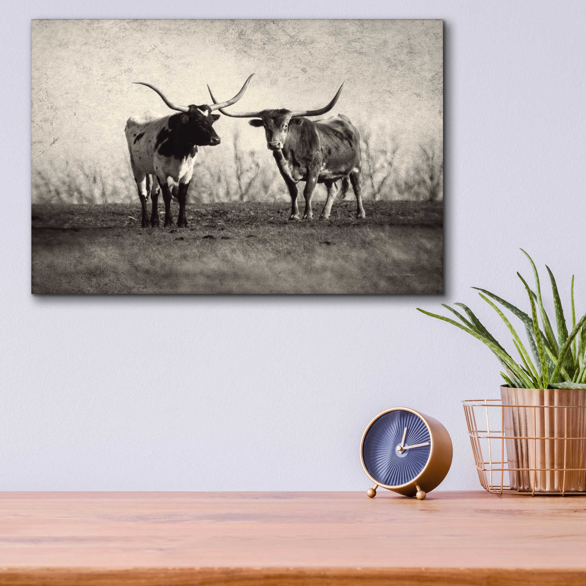 Epic Art 'Texas Longhorns' by Debra Van Swearingen, Acrylic Glass Wall Art,16x12