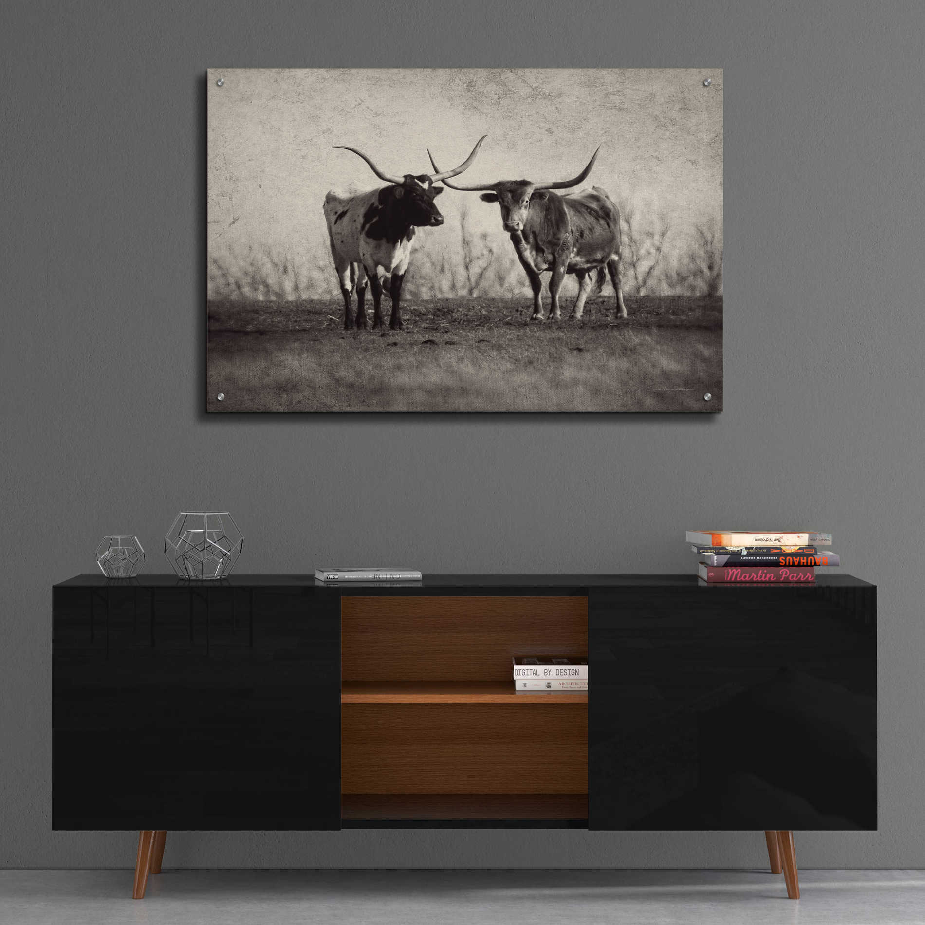 Epic Art 'Texas Longhorns' by Debra Van Swearingen, Acrylic Glass Wall Art,36x24