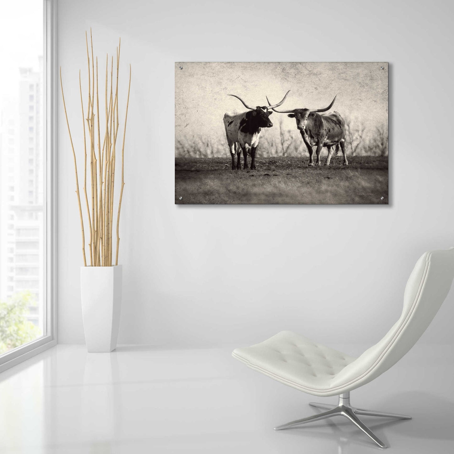 Epic Art 'Texas Longhorns' by Debra Van Swearingen, Acrylic Glass Wall Art,36x24