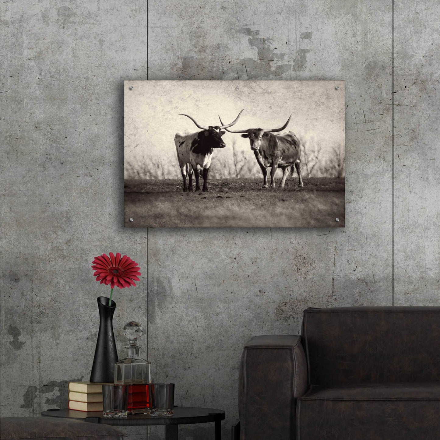 Epic Art 'Texas Longhorns' by Debra Van Swearingen, Acrylic Glass Wall Art,36x24