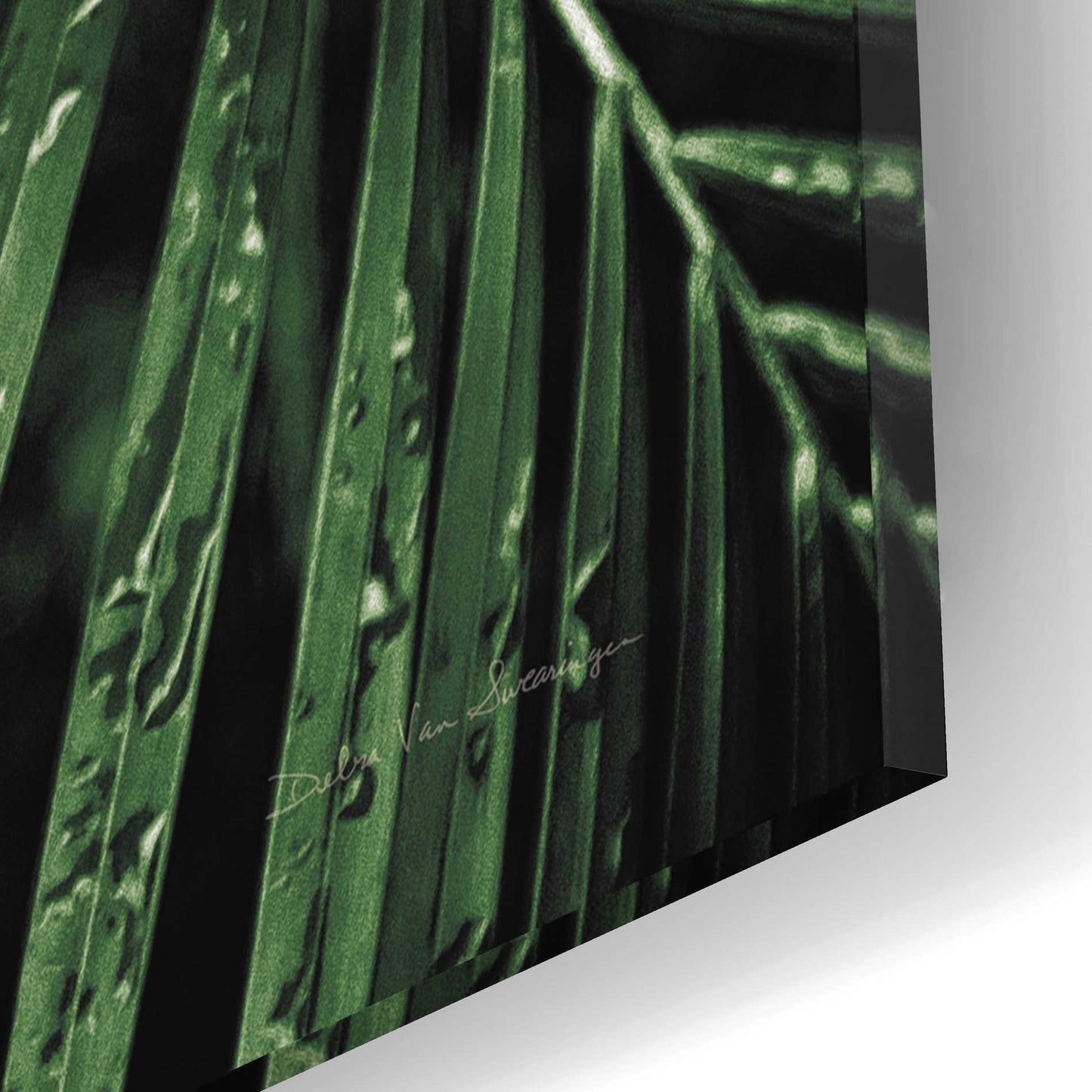 Epic Art 'Palm Fronds Green' by Debra Van Swearingen, Acrylic Glass Wall Art,16x12