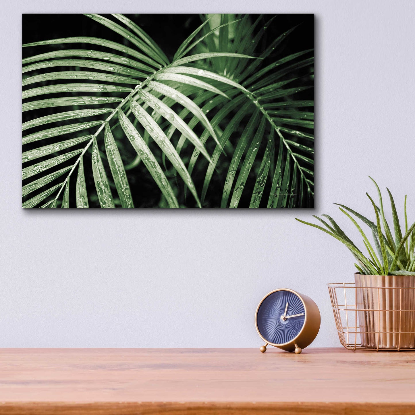 Epic Art 'Palm Fronds Green' by Debra Van Swearingen, Acrylic Glass Wall Art,16x12