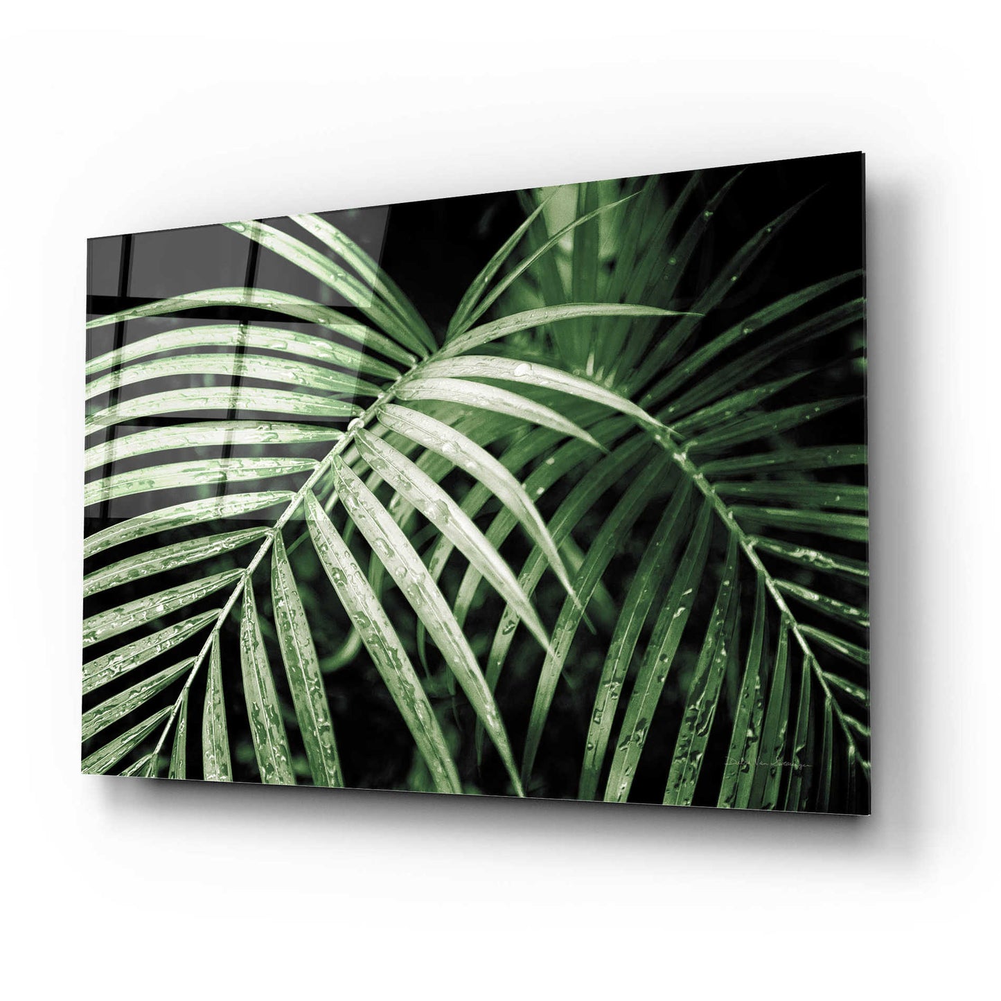 Epic Art 'Palm Fronds Green' by Debra Van Swearingen, Acrylic Glass Wall Art,24x16