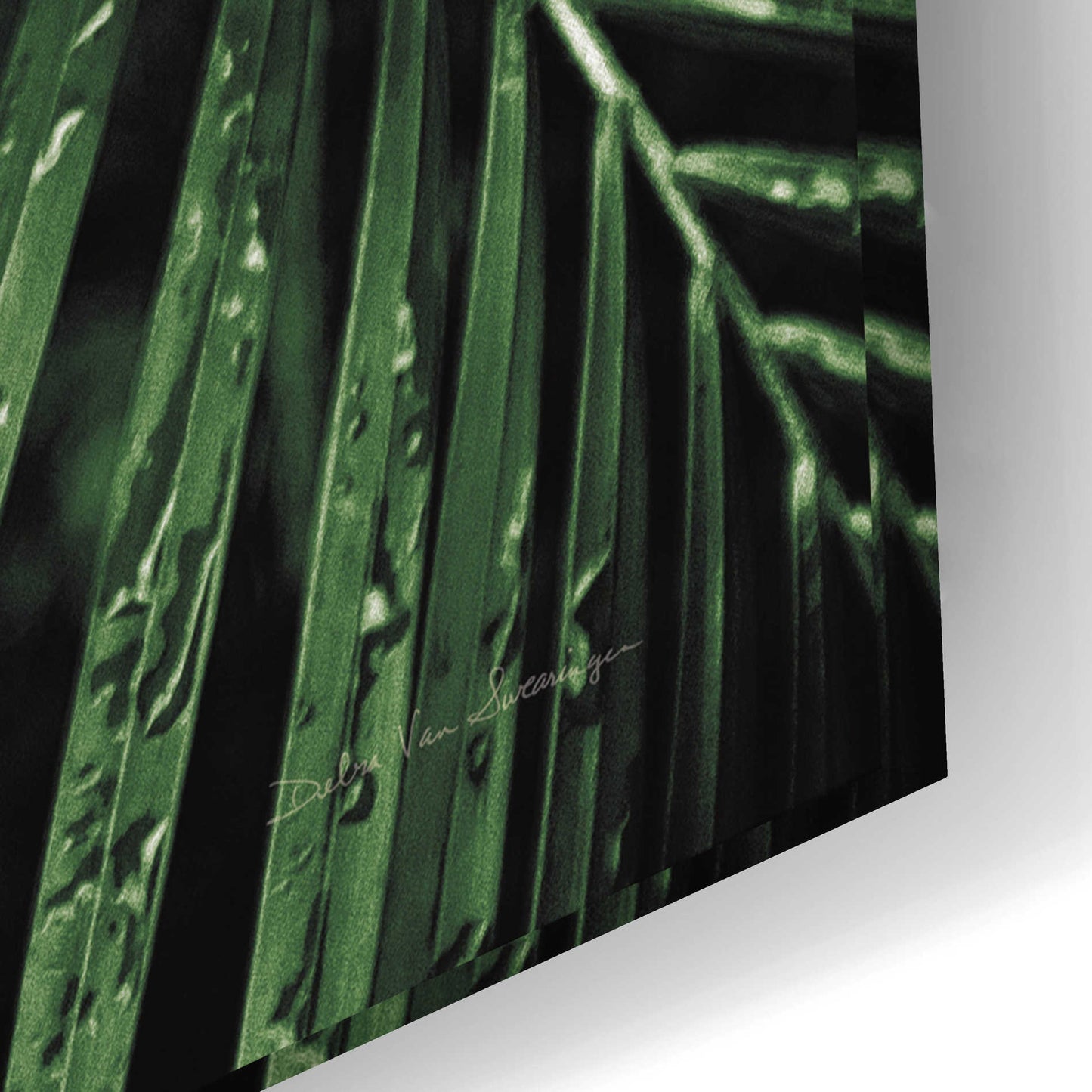 Epic Art 'Palm Fronds Green' by Debra Van Swearingen, Acrylic Glass Wall Art,24x16