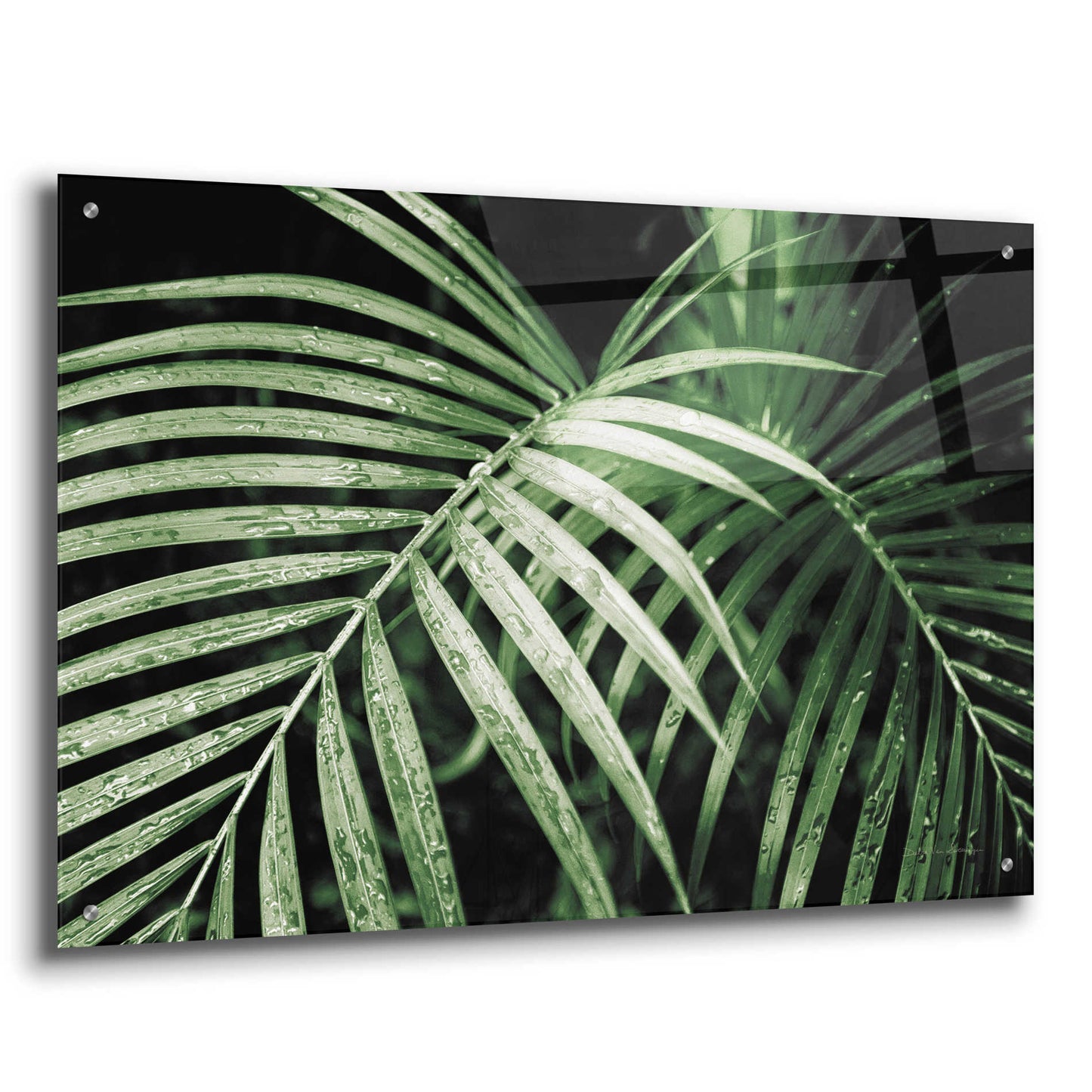 Epic Art 'Palm Fronds Green' by Debra Van Swearingen, Acrylic Glass Wall Art,36x24