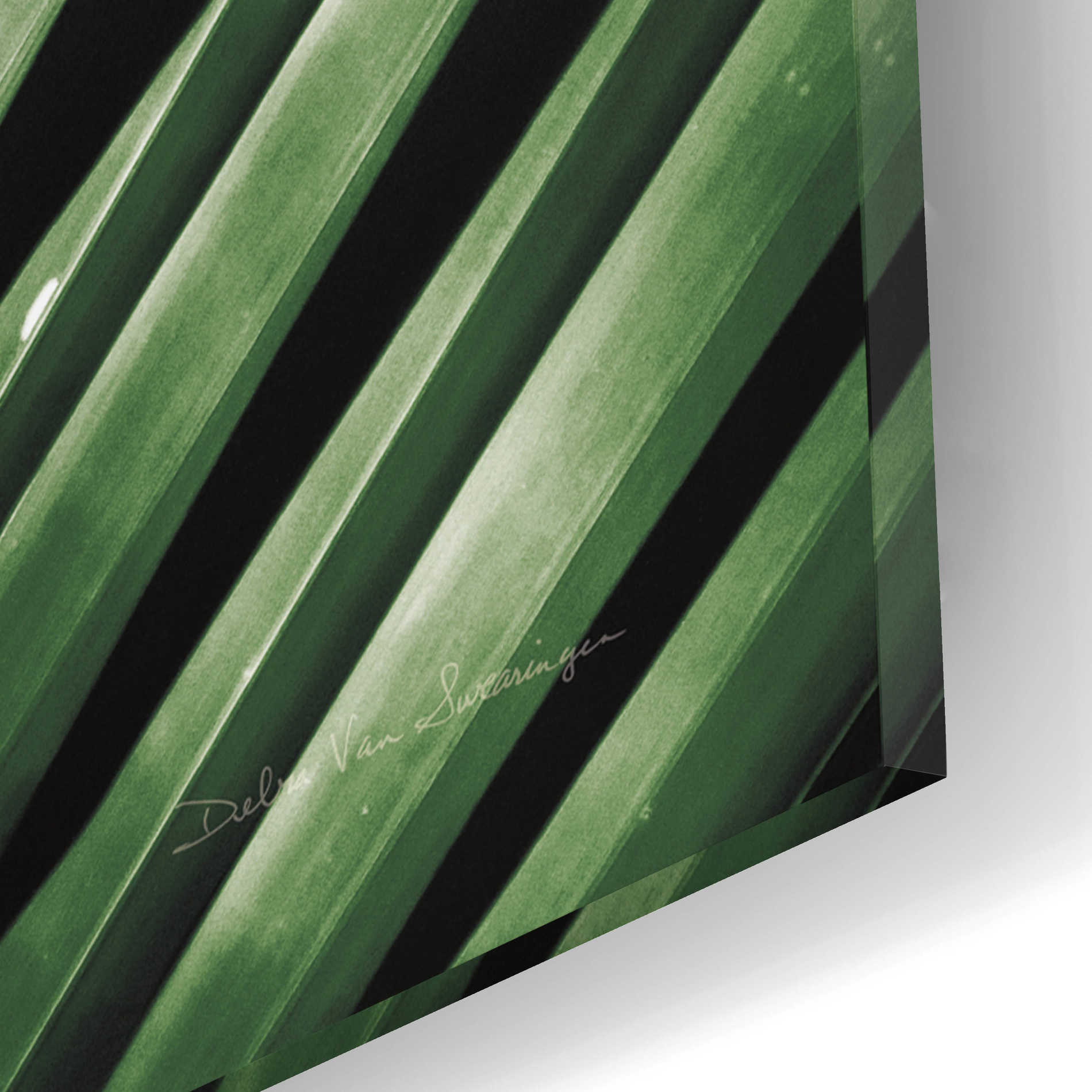 Epic Art 'Palm Frond I Green' by Debra Van Swearingen, Acrylic Glass Wall Art,12x16