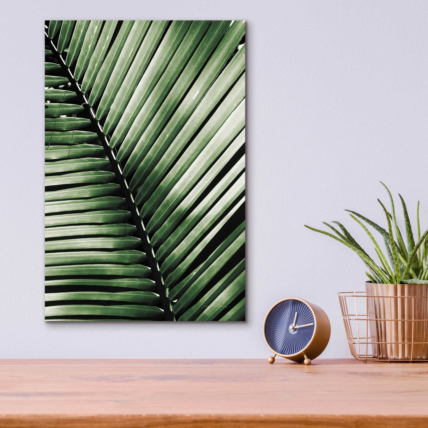 Epic Art 'Palm Frond I Green' by Debra Van Swearingen, Acrylic Glass Wall Art,12x16