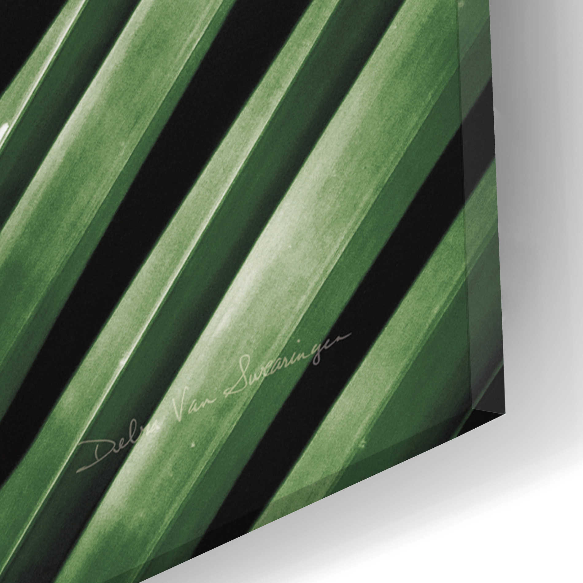 Epic Art 'Palm Frond I Green' by Debra Van Swearingen, Acrylic Glass Wall Art,16x24